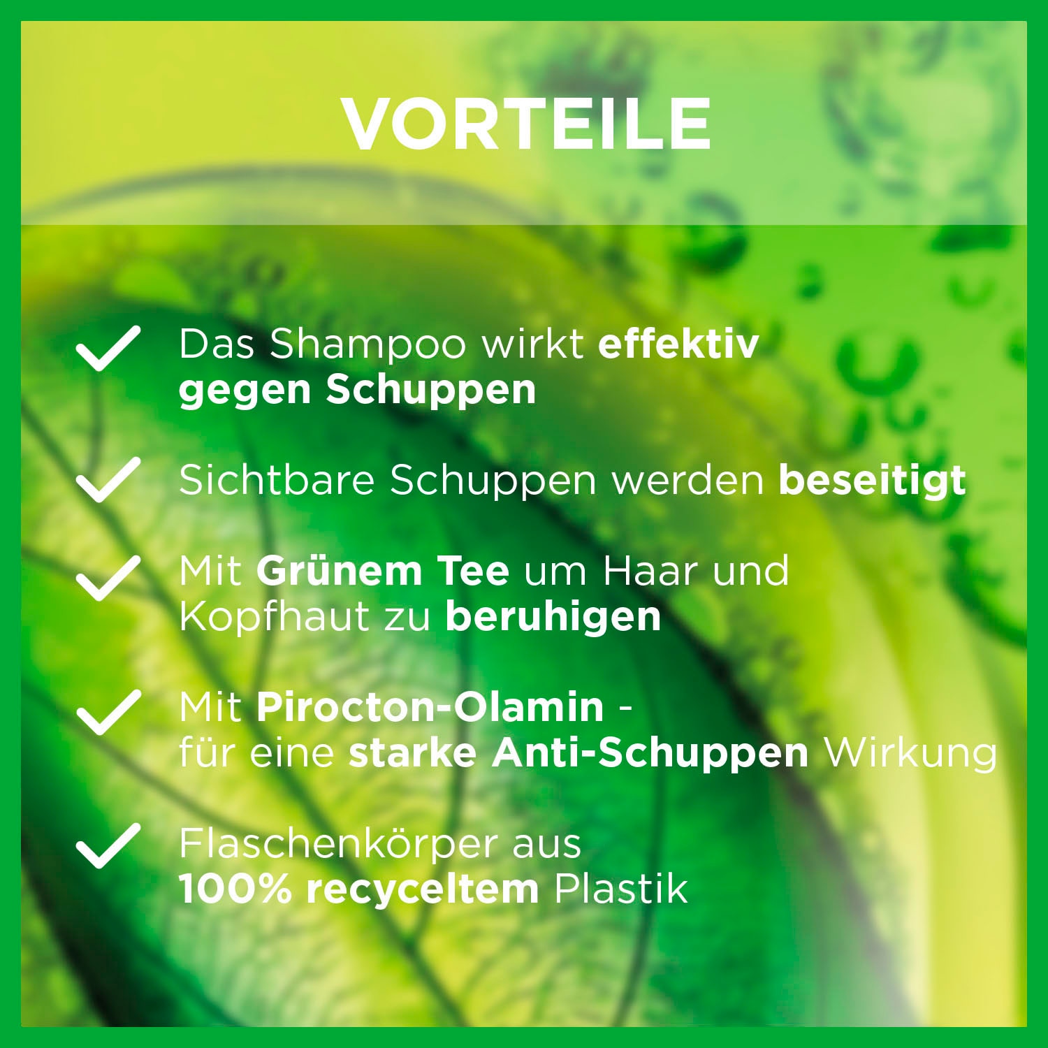 GARNIER Haarshampoo »Garnier Fructis Anti-Schuppen Shampoo«