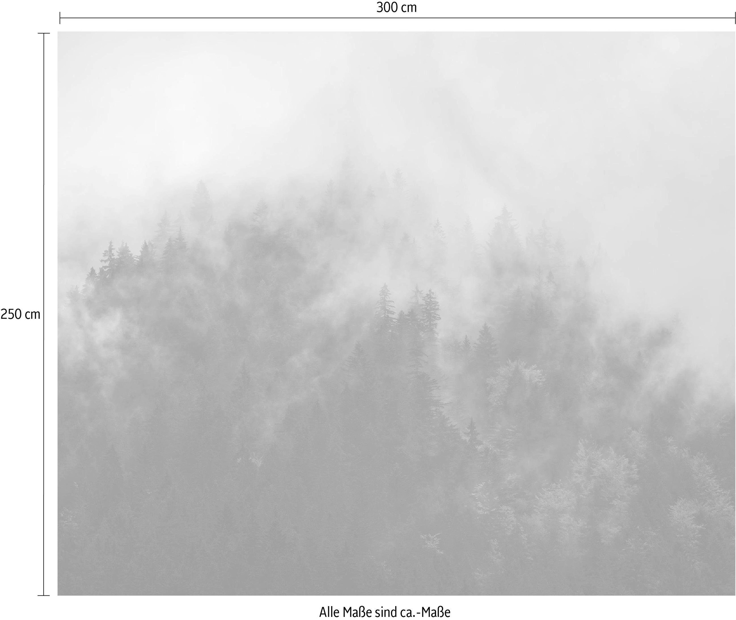 Komar Vliestapete (Breite x Höhe), Vliestapete, 100 cm Bahnbreite