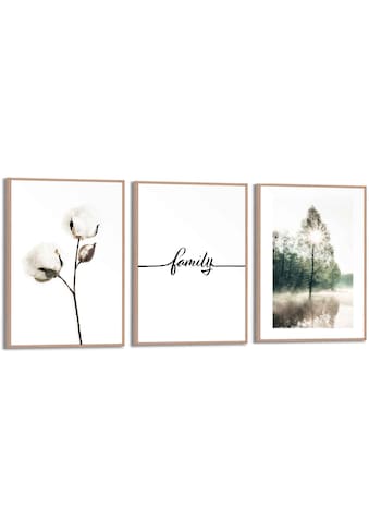 Reinders! Wandbild »Glück Natur - Familien - Zusammen - Trockenblume«, (3 St.) kaufen
