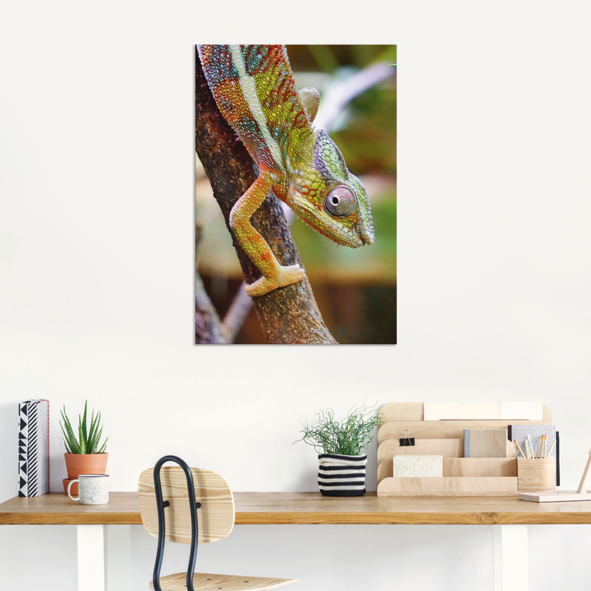 Artland Wandbild »Chamäleon«, Reptilien, (1 St.), als Alubild, Leinwandbild, Wandaufkleber oder Poster in versch. Größen