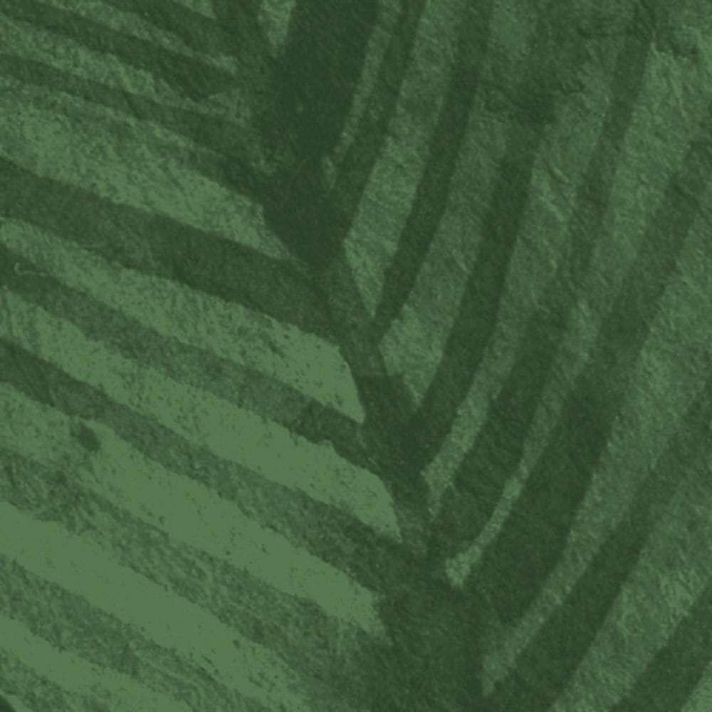 Komar Fototapete »Digitaldruck Vlies - Botanic Harmony - Größe 500 x 250 cm«, bedruckt, Wohnzimmer, Schlafzimmer