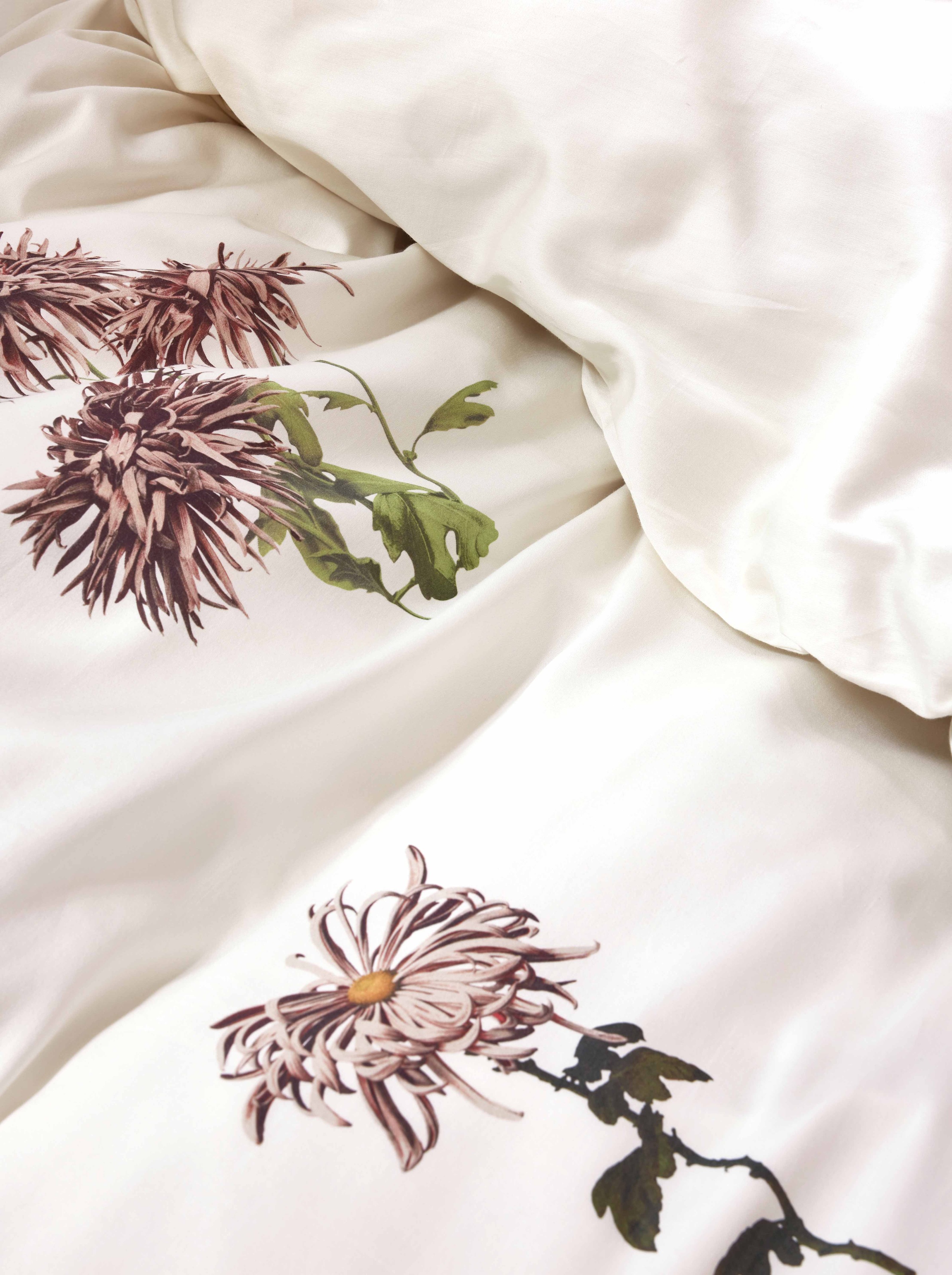 Essenza Wendebettwäsche »Annebella, 100 % Bio-Baumwollsatin« 2 Stk. tlg.