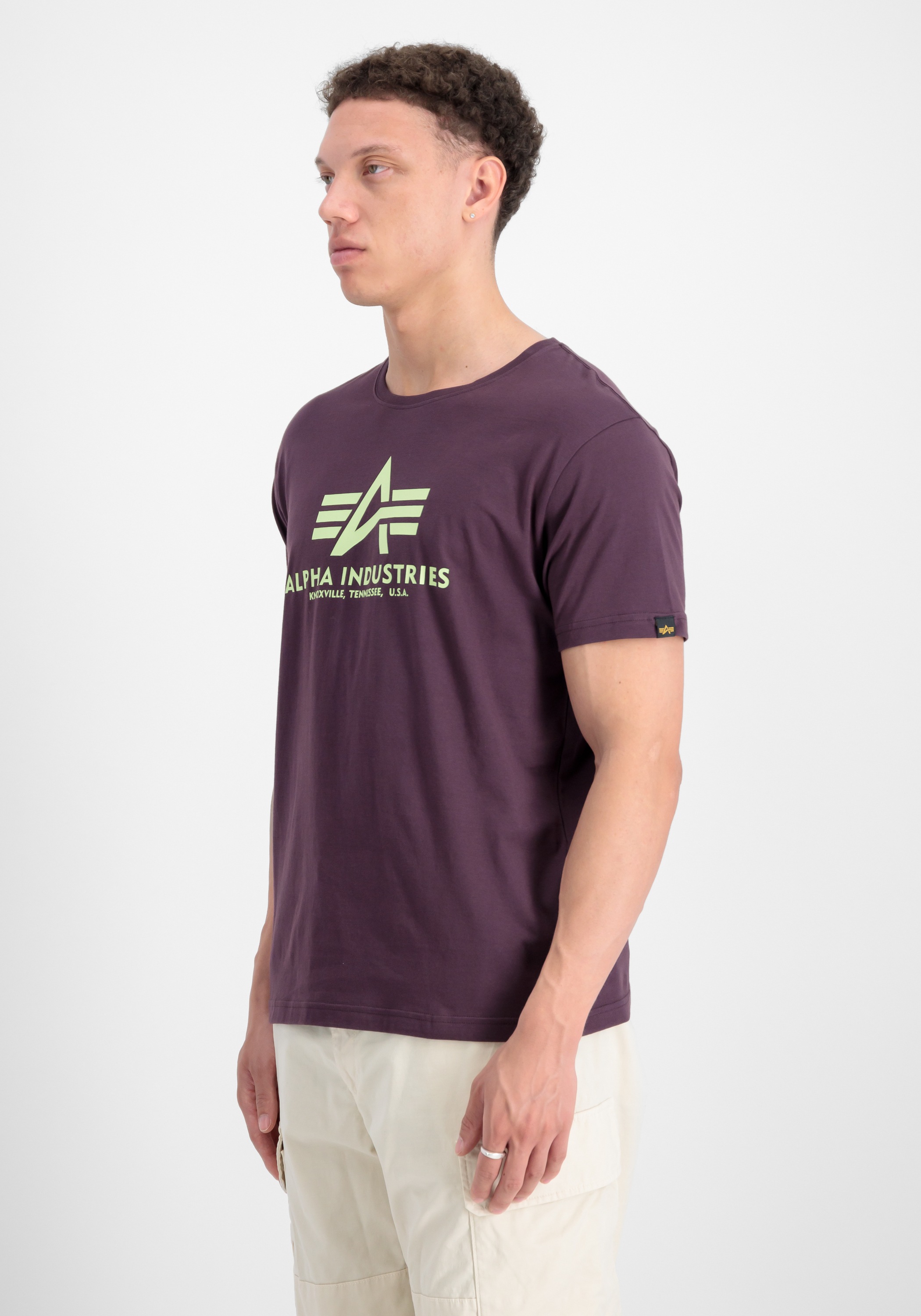 Alpha Industries T-Shirt »Basic T-Shirt BL«