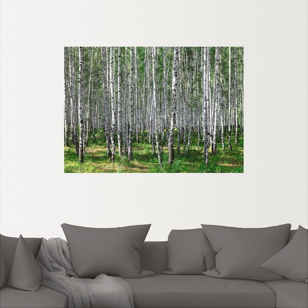 Artland Wandbild »Birkenwald«, Wald, (1 St.)