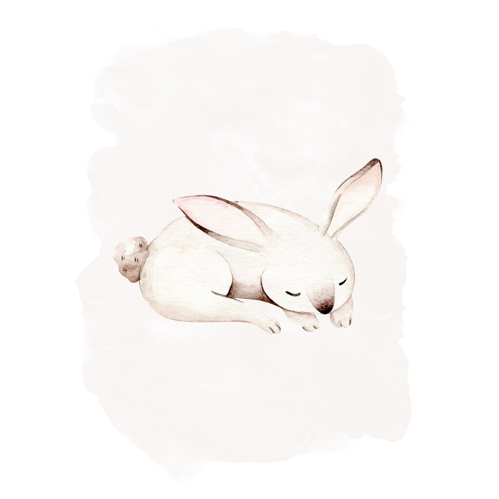 Komar Poster »Sleepy Bunny«, (1 St.)