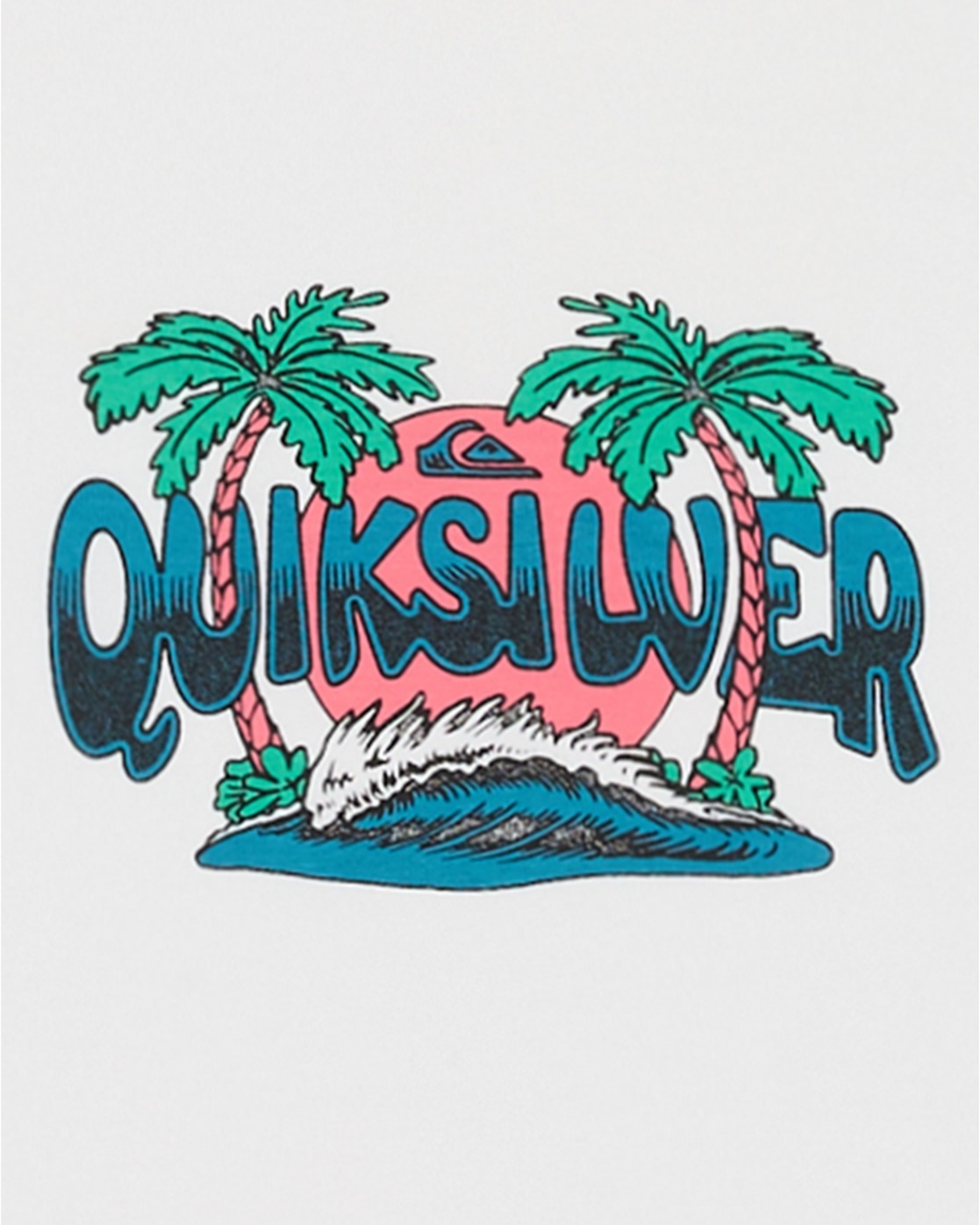 Quiksilver T-Shirt »Ev Palm Horizon«