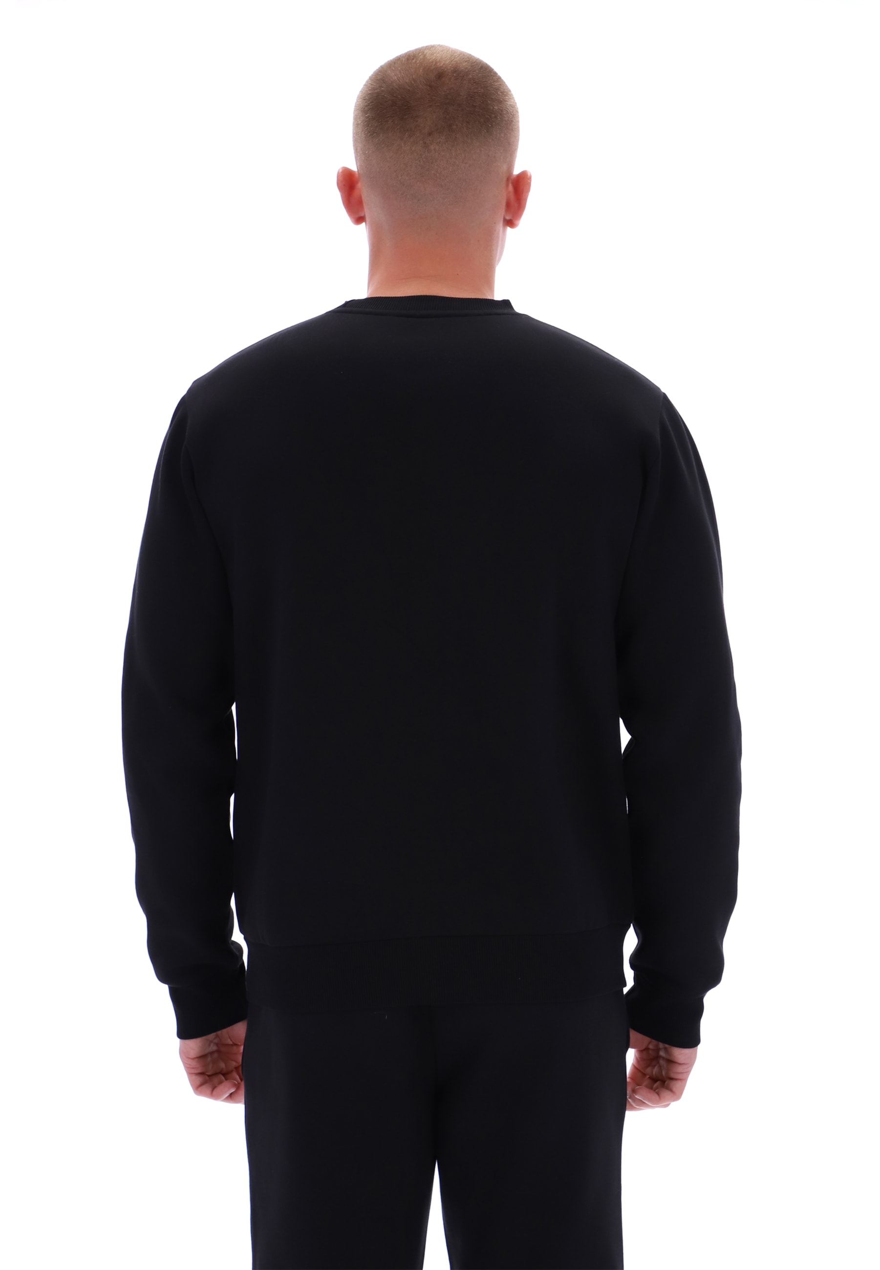 Reebok Sweatshirt »JULIAN 2 COL LOGO CREWNECK SWEATSHIRT«, Langarm-Design, aus Baumwolle und Polyester, mit Rundhalsausschnitt
