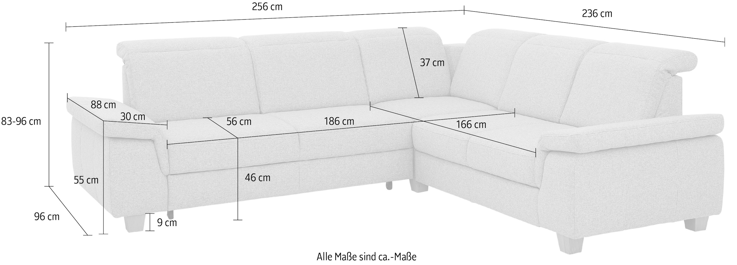 Home affaire Ecksofa »Dalia L-Form« mit Federkernpolsterung, wahlweise mit Bettfunktion, Bettkasten