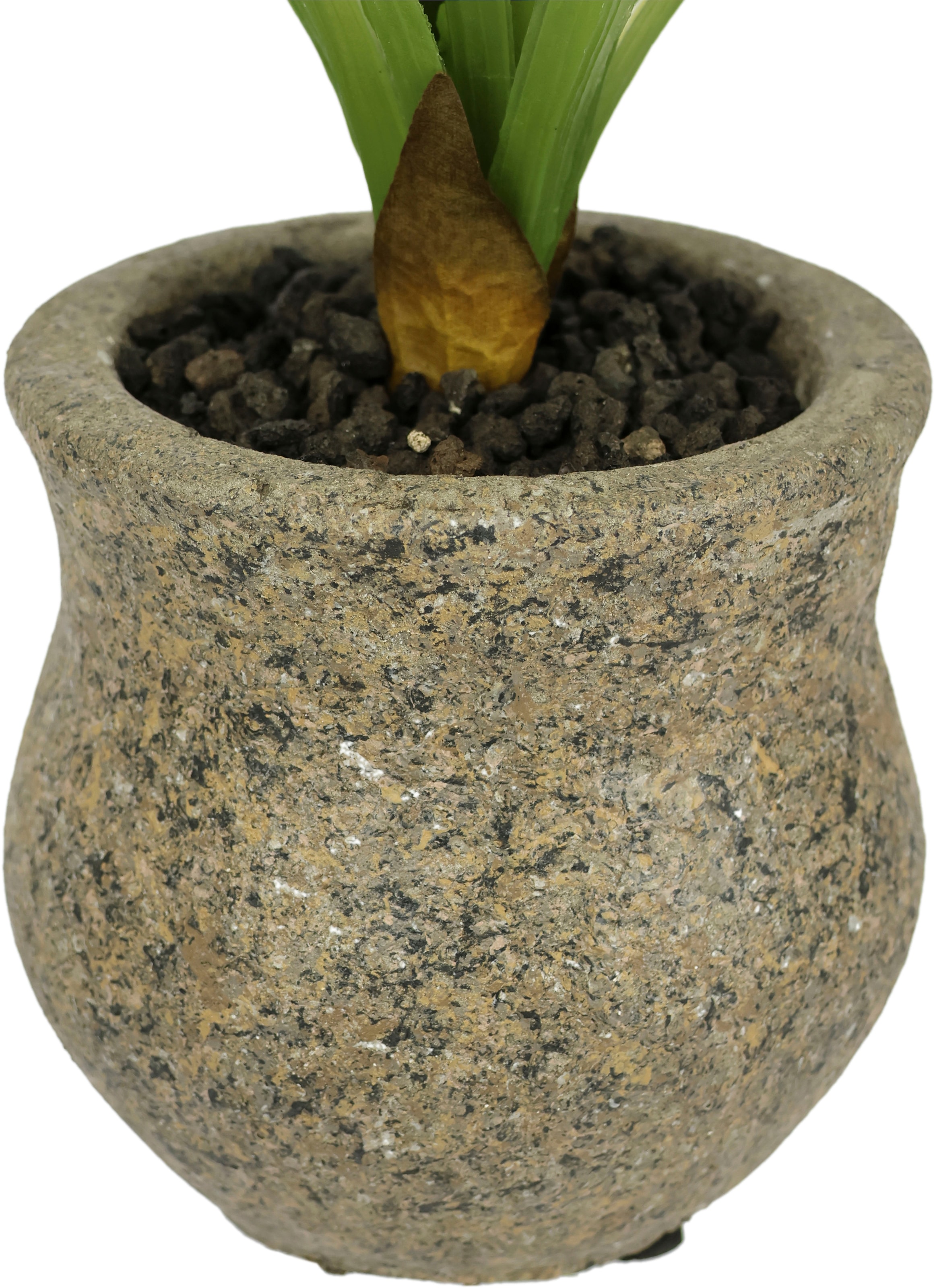 I.GE.A. Kunstblume »Kunstblume Schmetterling Orchidee mit Keramiktopf« Mit Blätter Luftwurzeln Blume Kunstorchidee Phalaenopsis Kunstpflanze