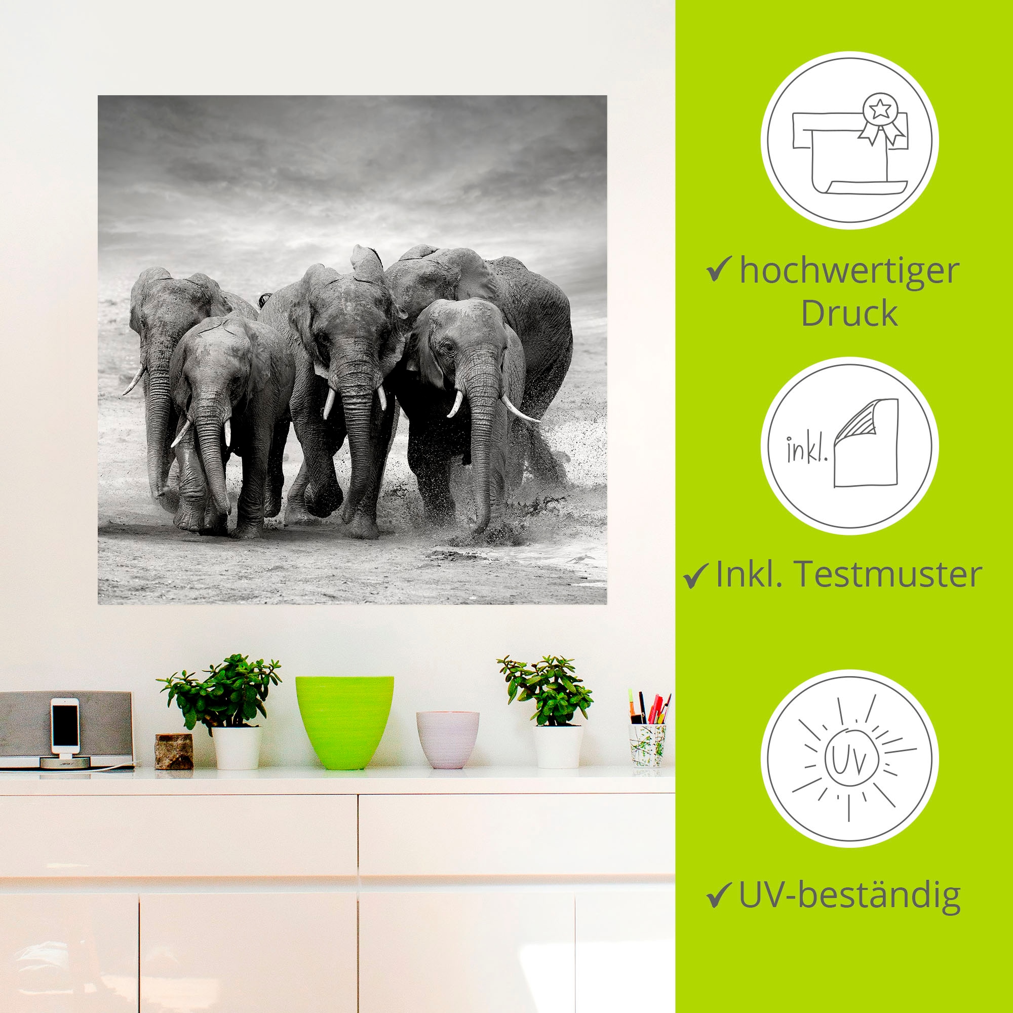 Artland Wandbild »Elefanten«, Wildtiere, (1 St.), als Leinwandbild, Poster, Wandaufkleber in verschied. Größen