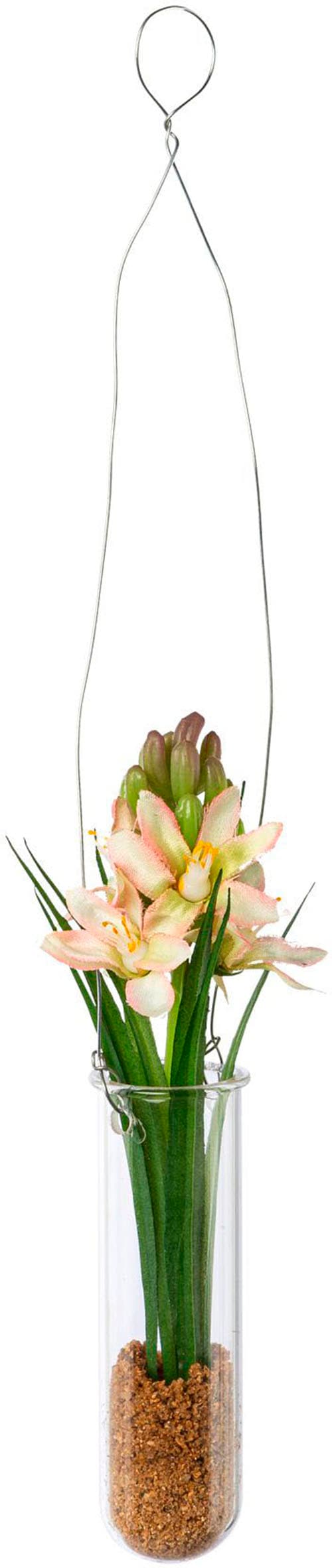 Creativ green Kunstblume »Hyacinthe in Hängevase«