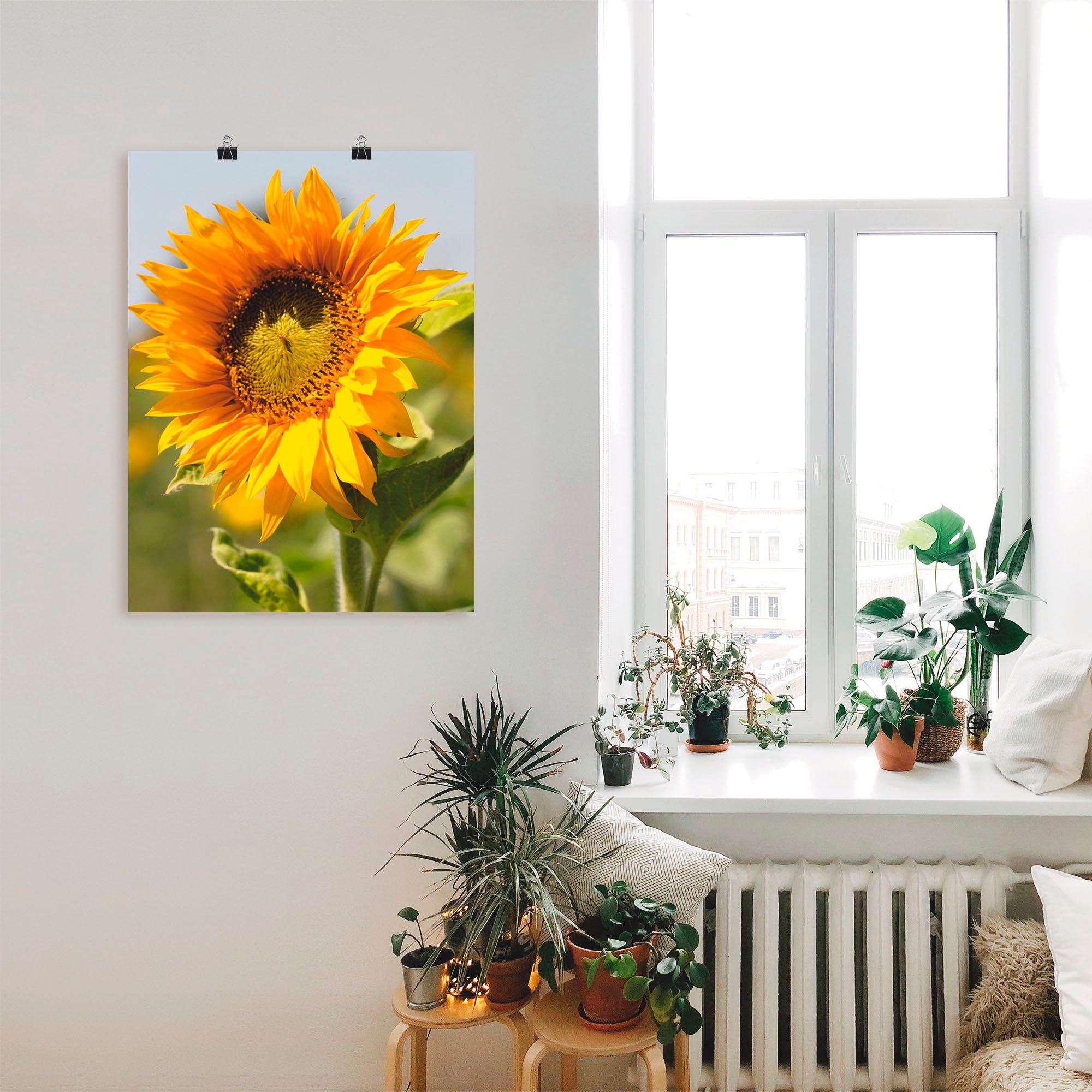 Artland Wandbild »Sonnenblume« Blumen 1 Stk. tlg. als Leinwandbild, Poster in verschied. Größen