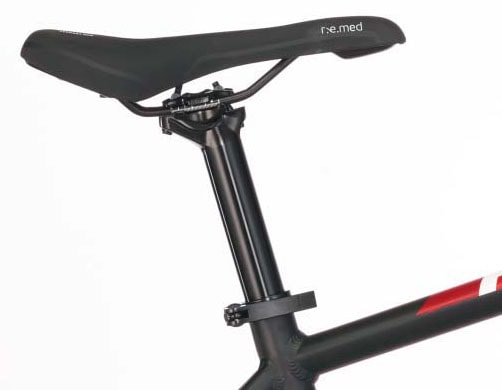 FISCHER Fahrrad E-Bike »MONTIS EM 1726 557«, 10 Gang, Pedelec, Elektrofahrrad für Damen u. Herren, MTB