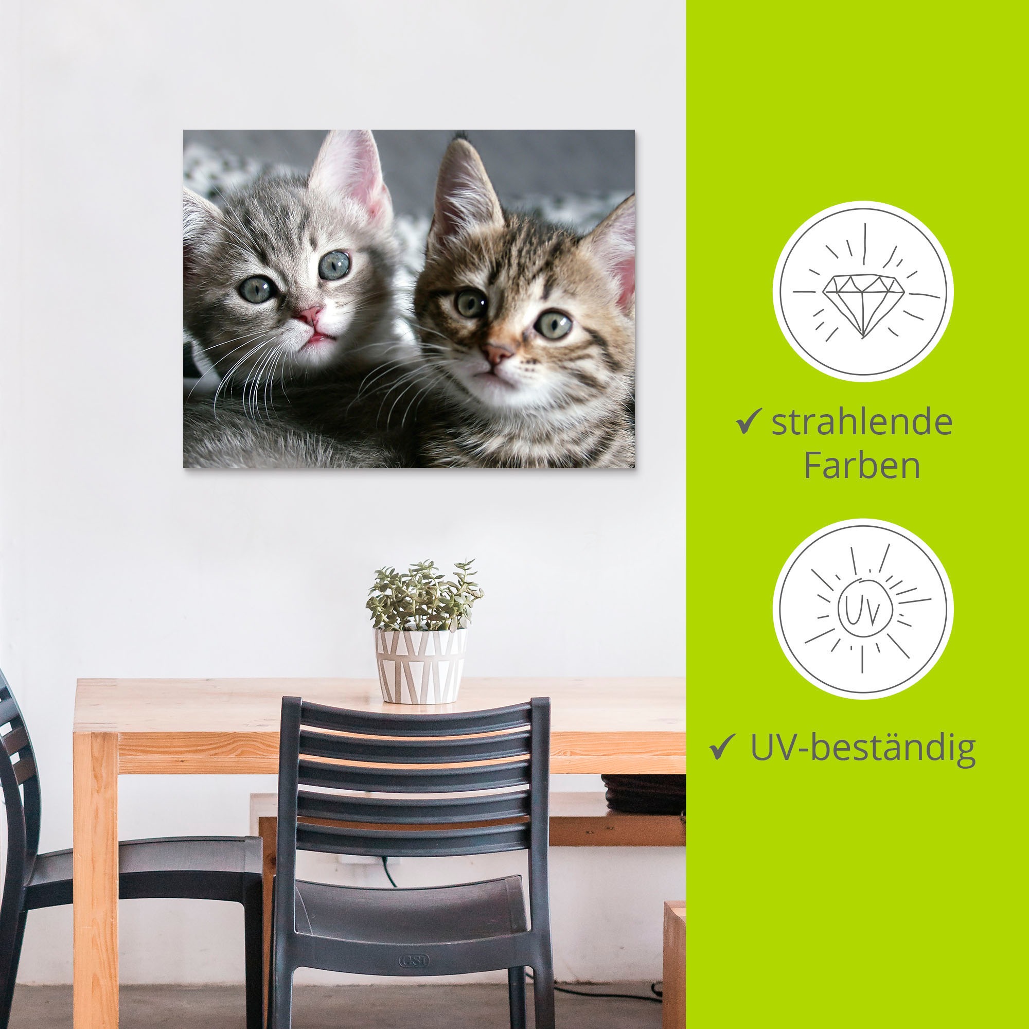 Artland Wandbild »Katze«, Haustiere, (1 St.), als Alubild, Outdoorbild, Leinwandbild, Poster, Wandaufkleber