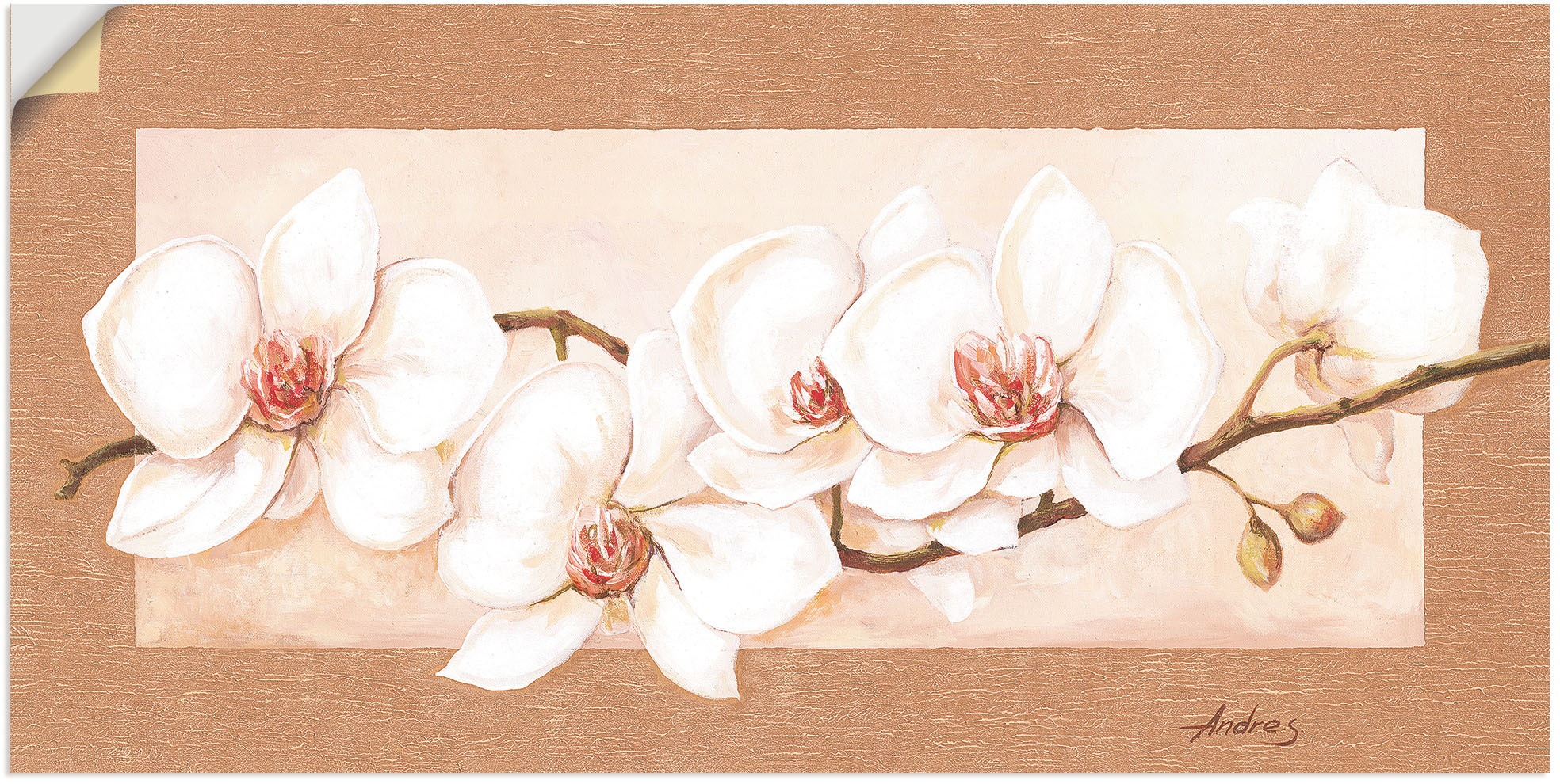 (1 OTTO Alubild, Shop Wandaufkleber oder im Online in »Orchideenzweig«, als Artland versch. Wandbild St.), Leinwandbild, Größen Blumenbilder, Poster