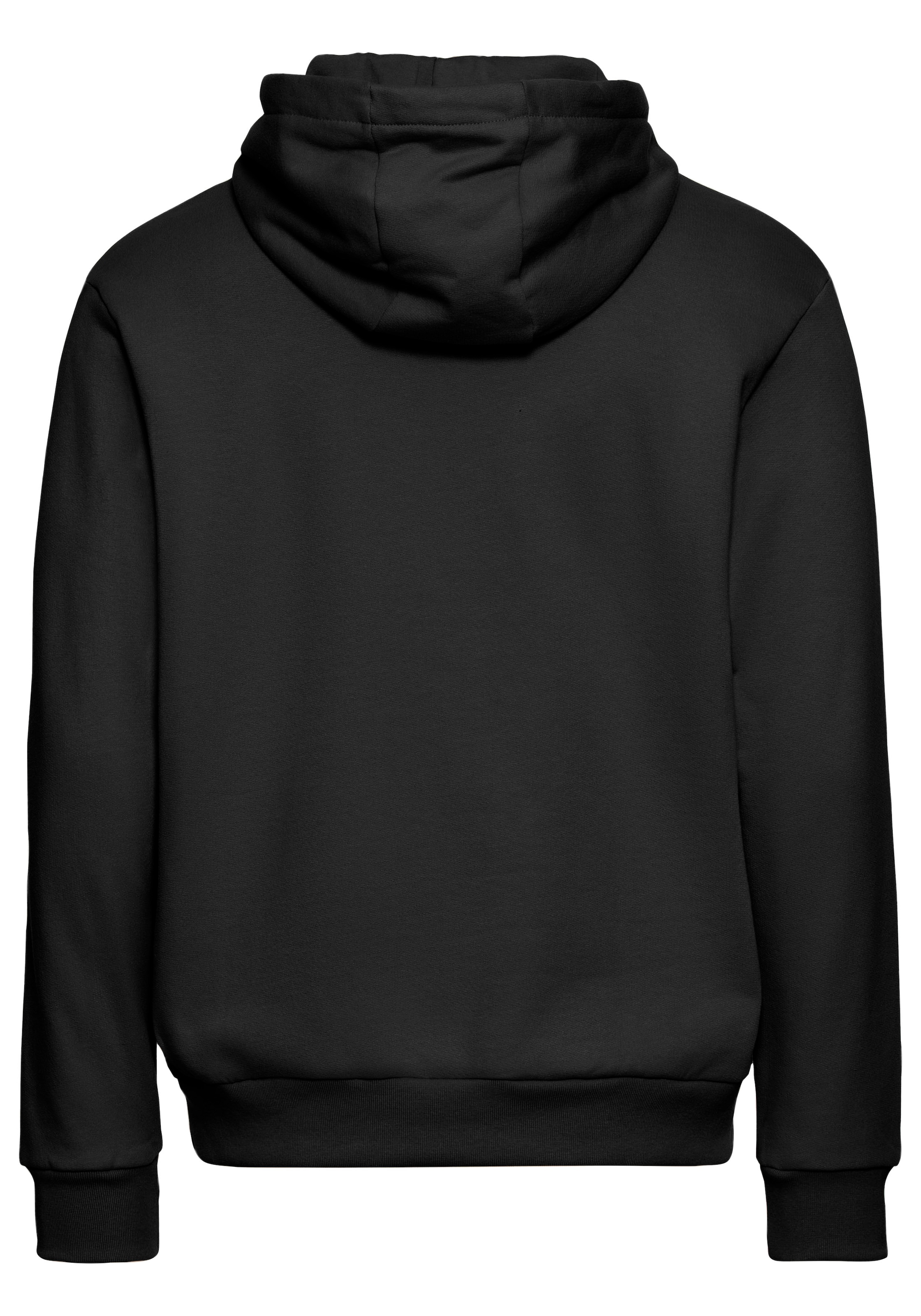 Vans Kapuzensweatshirt »ESSENTIALFTRELAXEDPO«