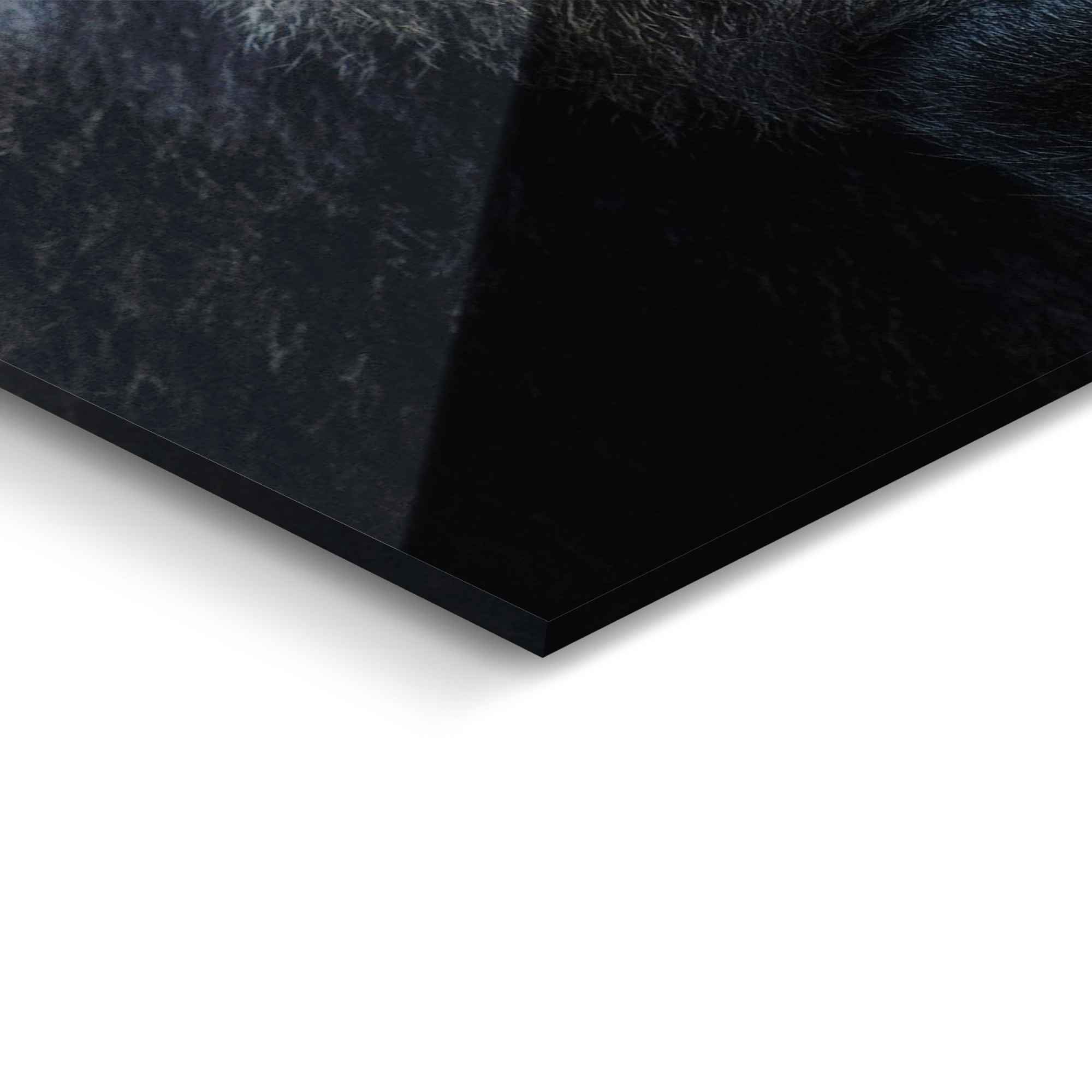 Reinders! Glasbild »Glasbild Gorilla Affe - Nachdenklich«, bestellen Kräftig bei (1 St.) OTTO - online Affen