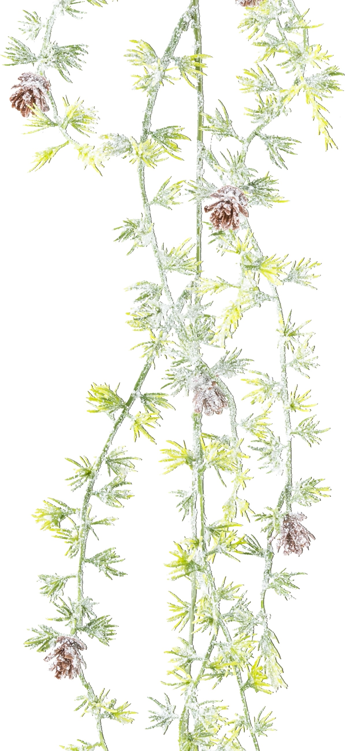 Creativ green Kunstgirlande »Zederngirlande«, mit Frost-Optik und Zapfen