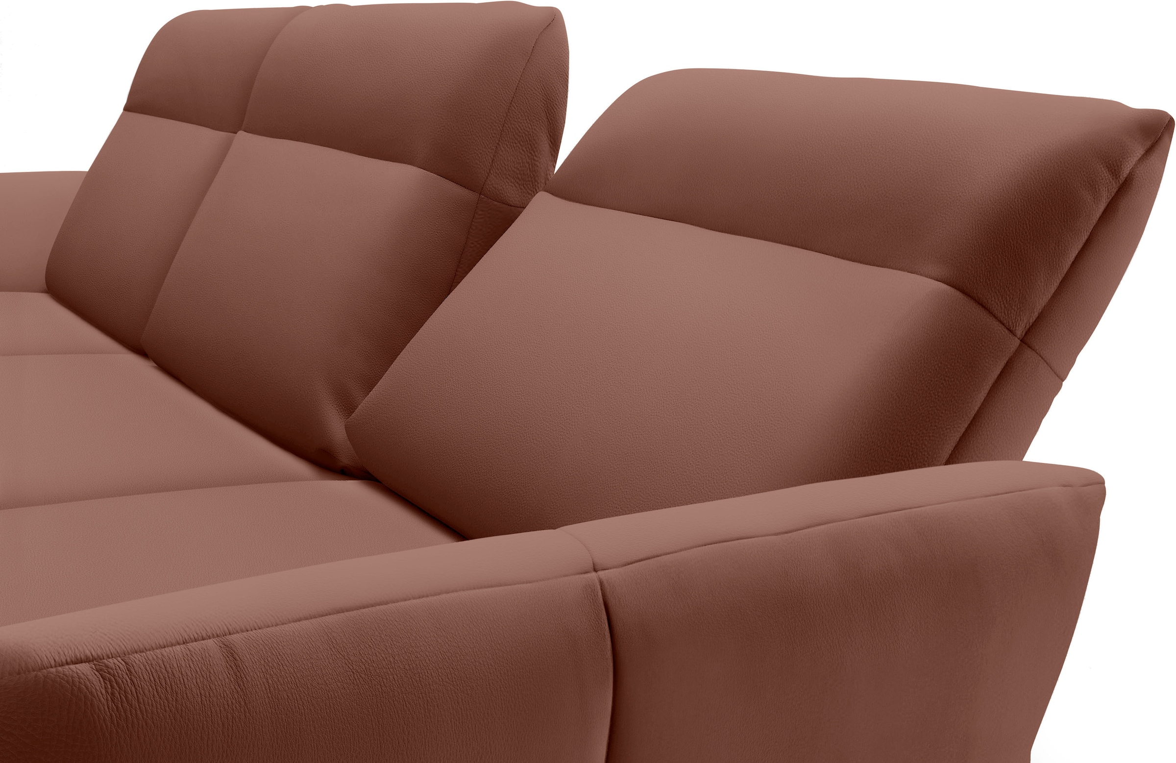Creation BY ROLF BENZ Ecksofa »hs.460«, Sockel in Eiche, Winkelfüße in Umbragrau, Breite 338 cm