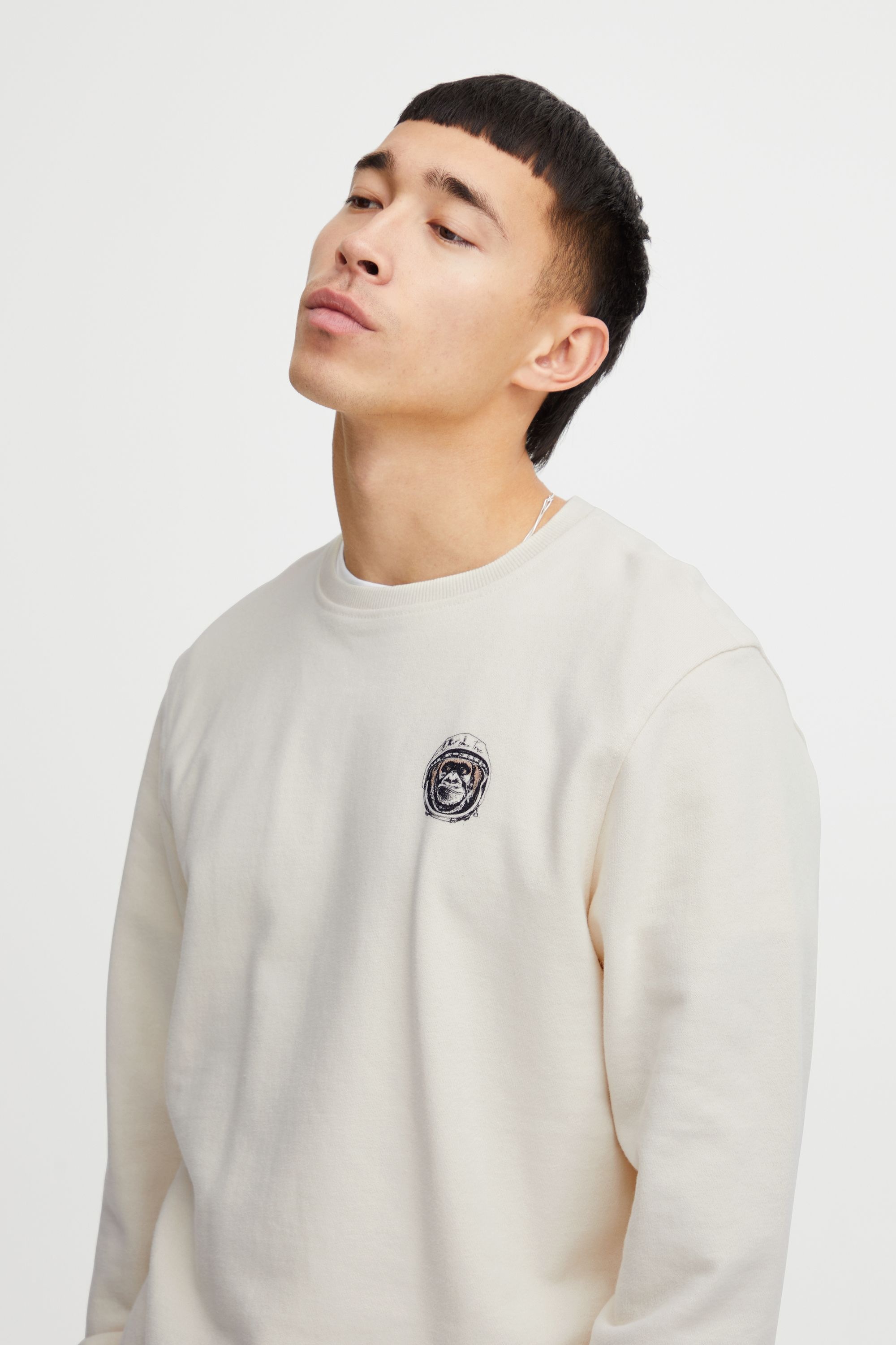 Blend Rundhalspullover »Rundhalspullover BHSweatshirt«