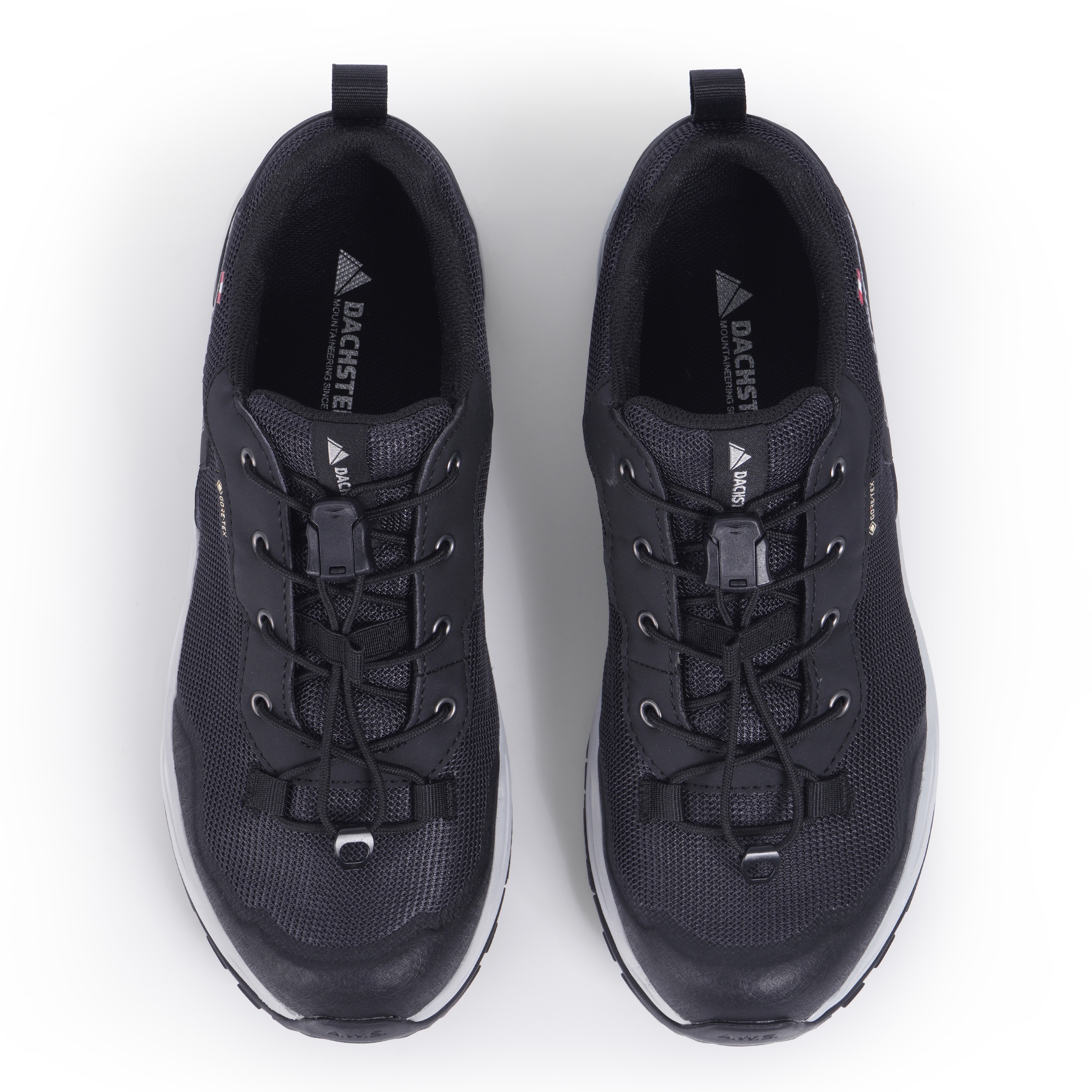 Dachstein Wanderschuh »DELTA ASCENT GTX WMN«, wasserdicht