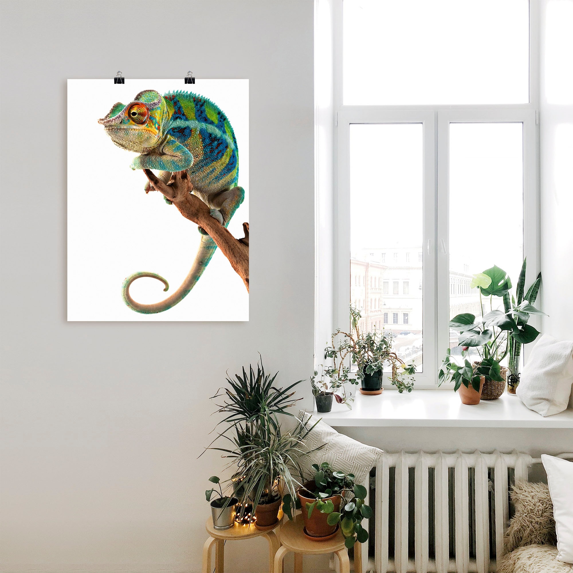 Artland Wandbild »Ambanja Panther Chamäleon«, Reptilien, (1 St.), als Leinwandbild, Poster in verschied. Größen