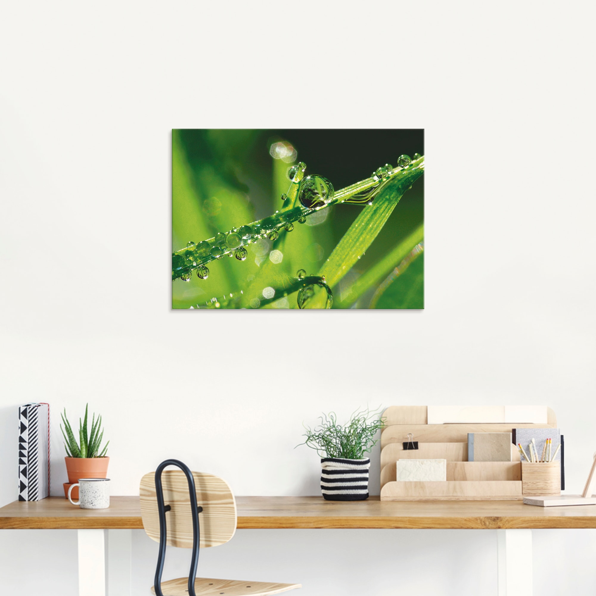 Artland Glasbild »Wassertropfen auf Gras«, Gräser, (1 St.), in verschiedenen Größen