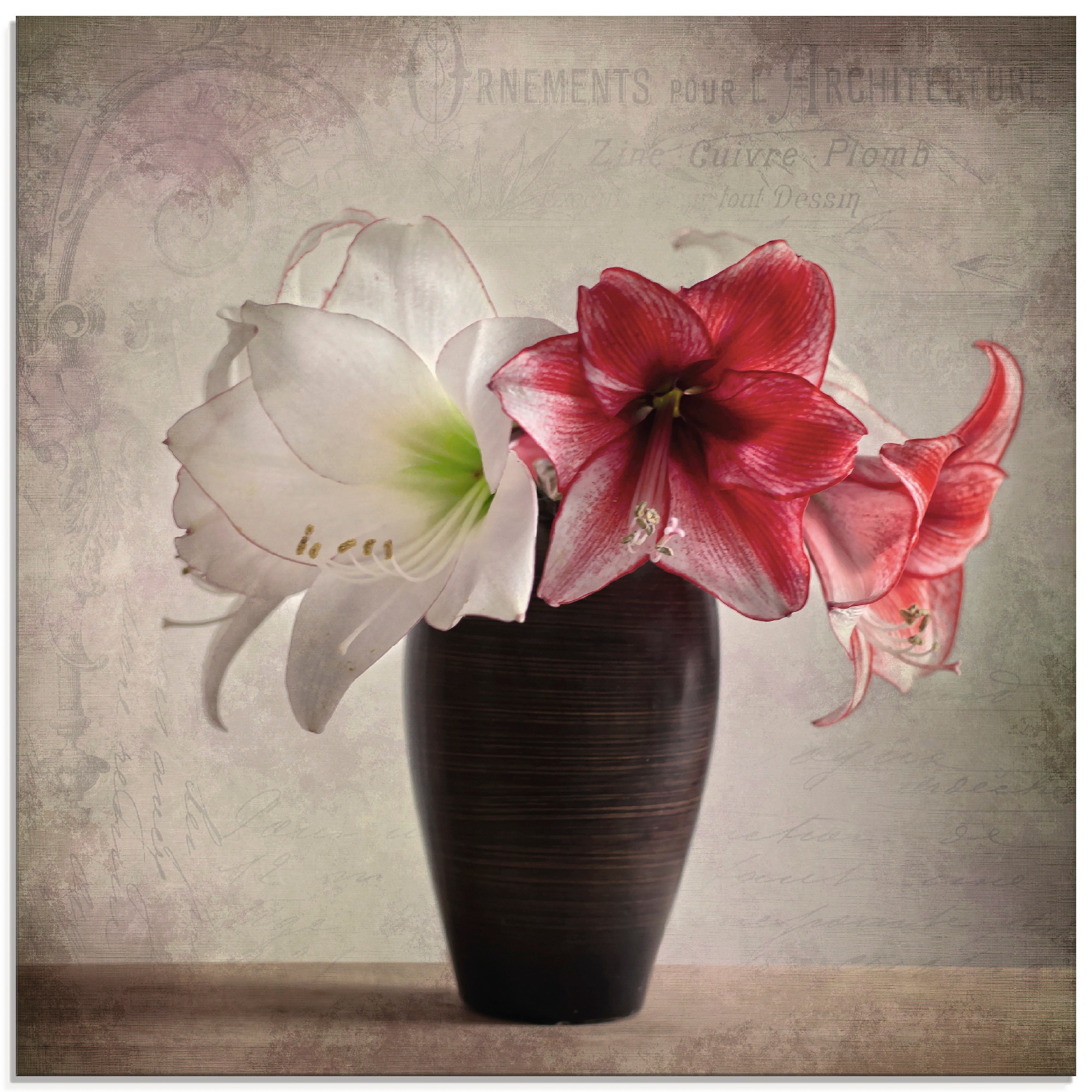 Artland Glasbild »Amaryllis Vintage I«, Blumen, (1 St.)