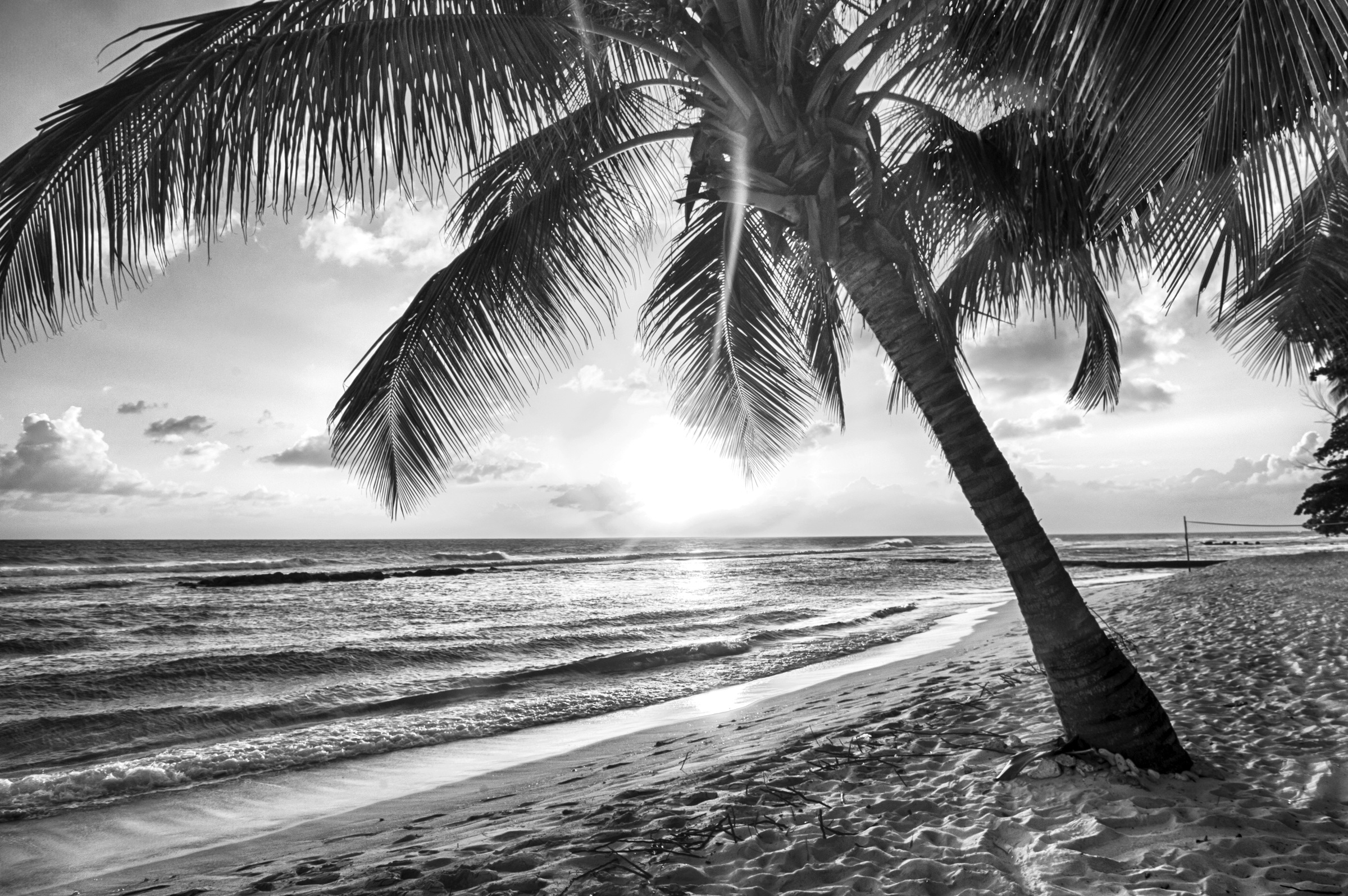 Papermoon Fototapete »Strand Schwarz & Weiß«