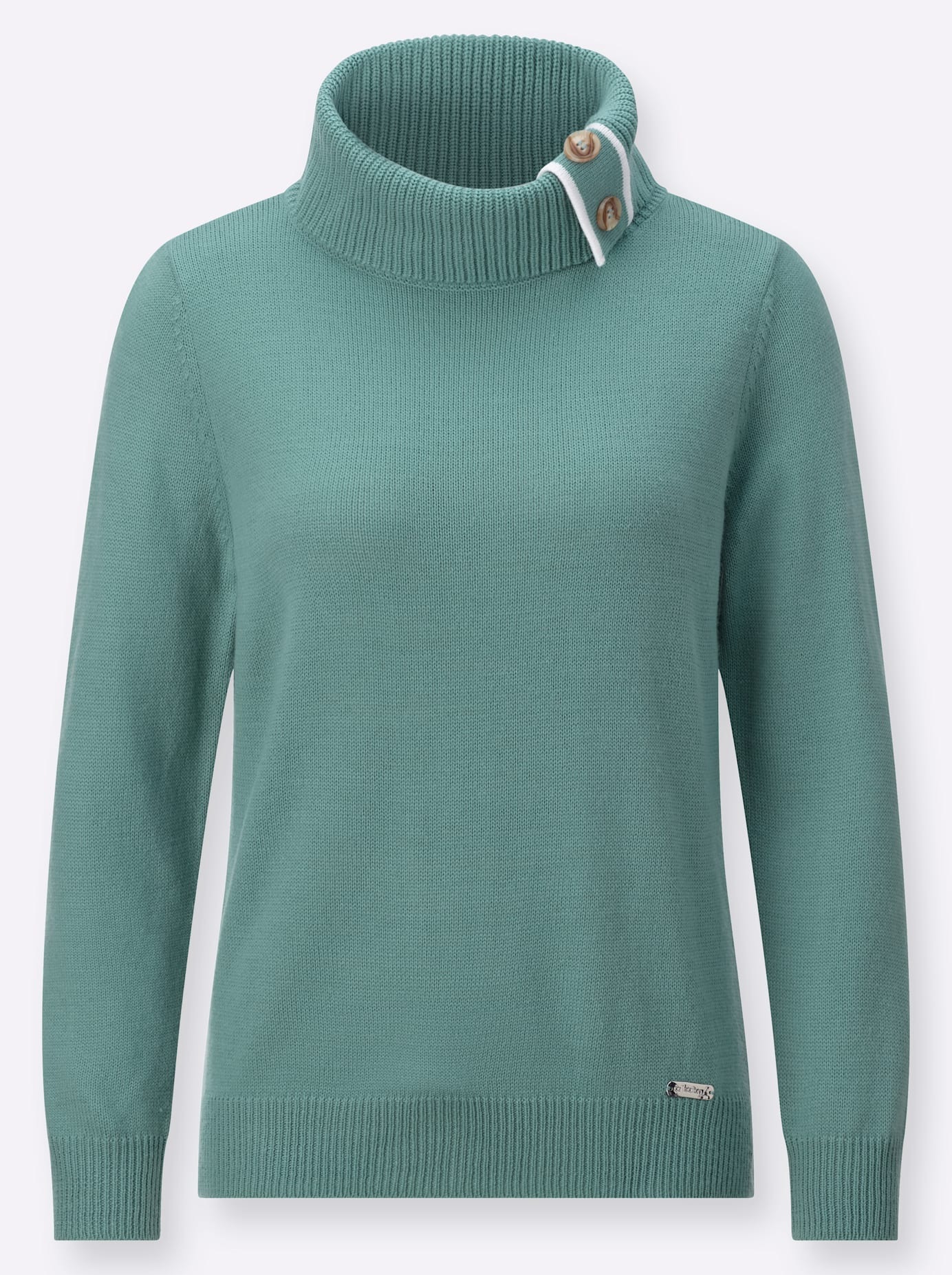 Casual Looks Rollkragenpullover »Pullover«
