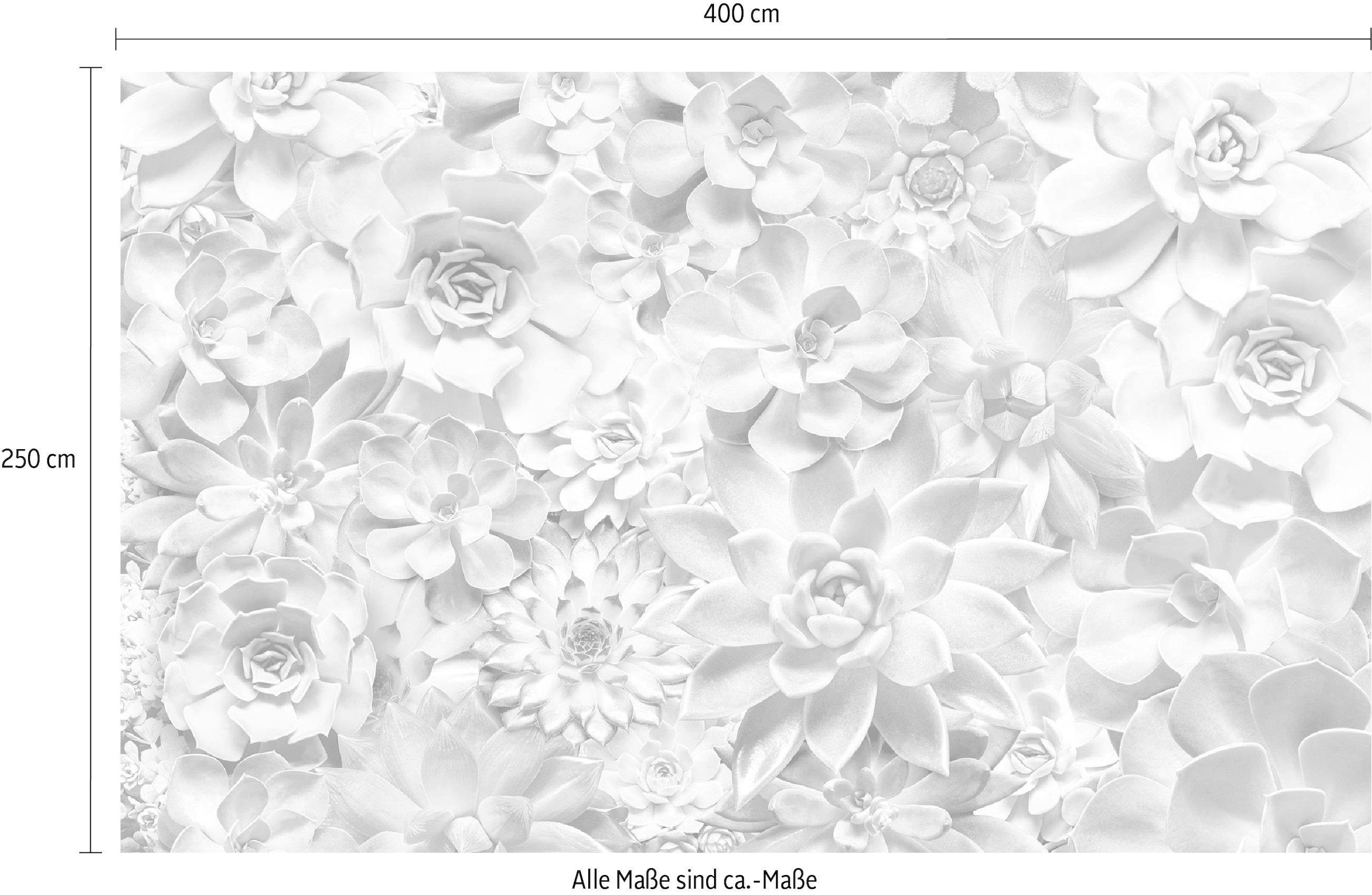 Komar Vliestapete »Digitaldruck Vlies - Shades Black and White - Größe 400 x 250 cm«, bedruckt, Wohnzimmer, Schlafzimmer