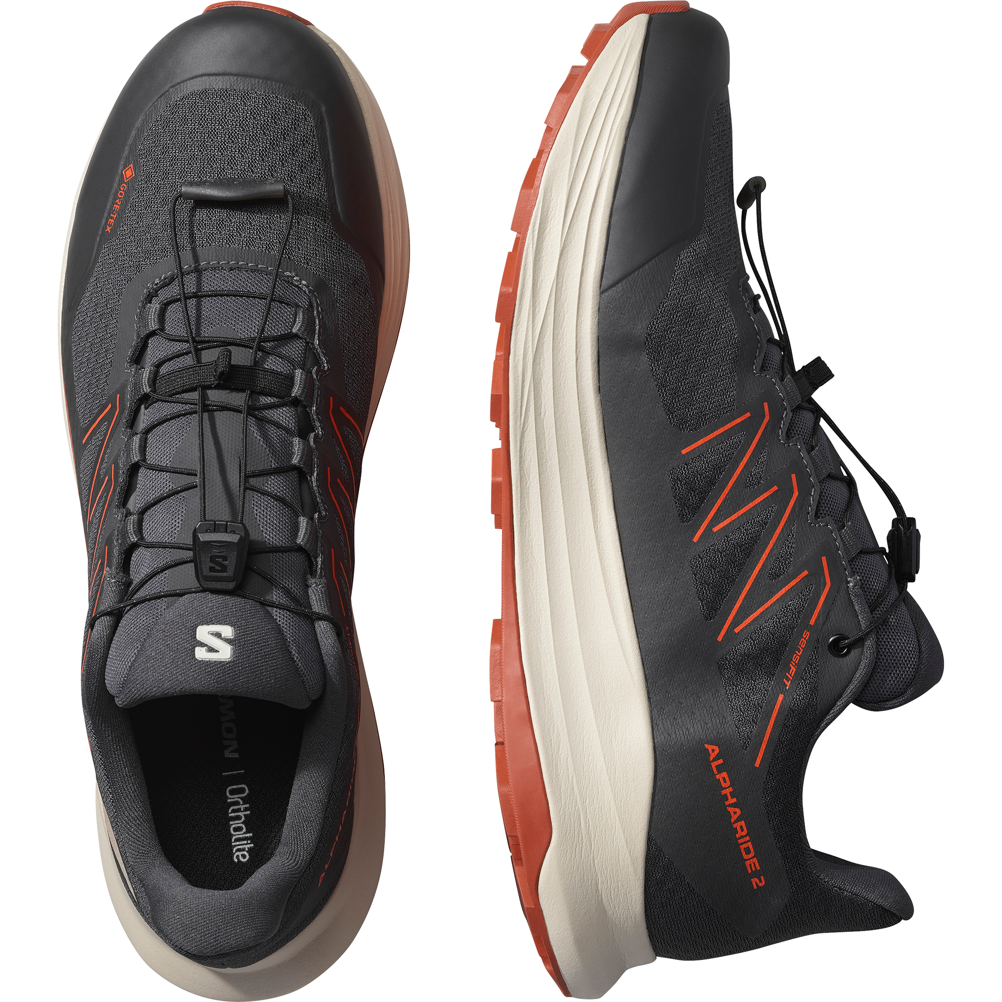 Salomon Trailrunningschuh »ALPHARIDE 2 GORE-TEX«  wasserdicht