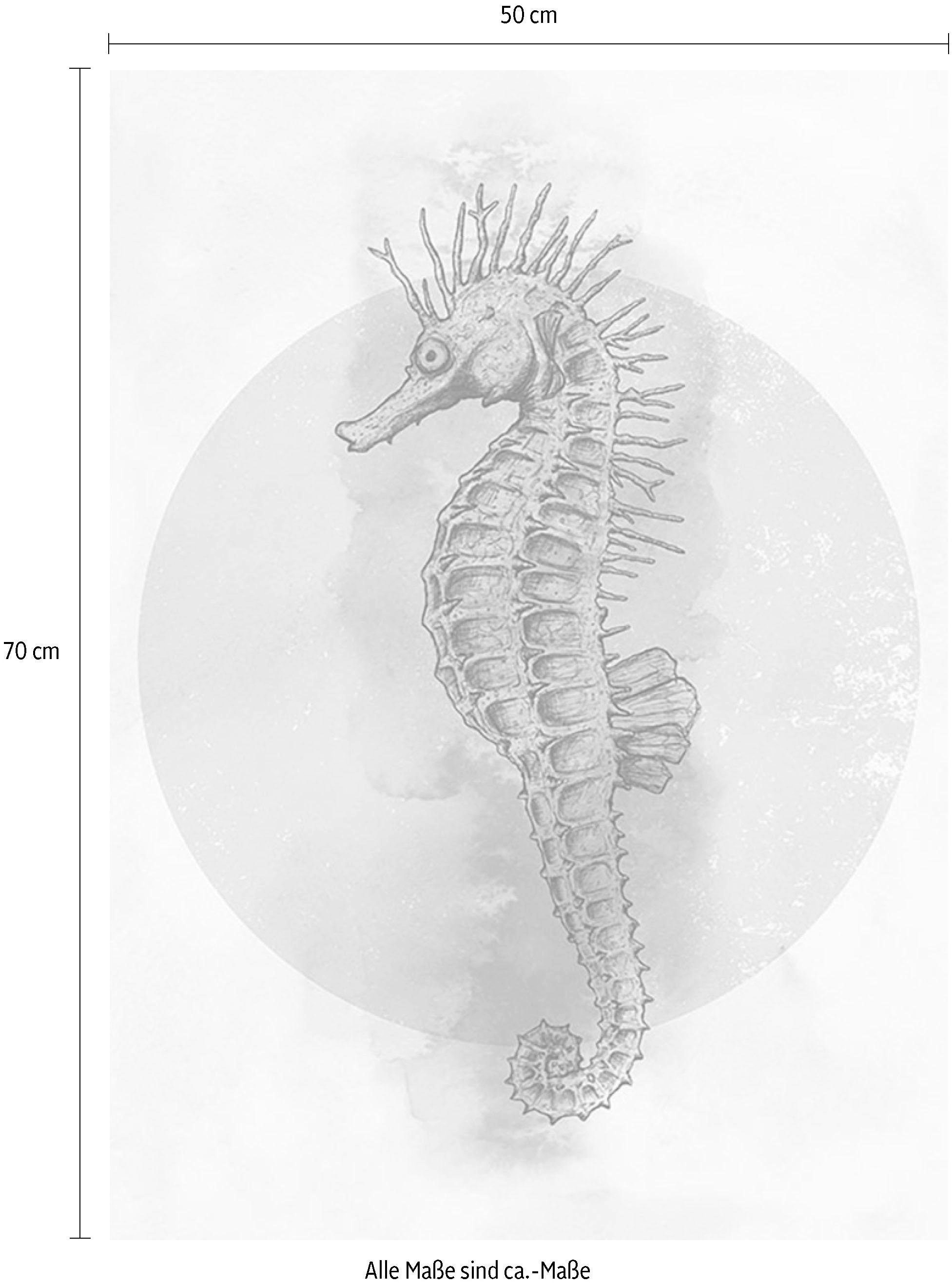 Komar Bild »Sea Horse Circle«, Tiere, (1 St.), Wandbild zur Dekoration - ohne Rahmen