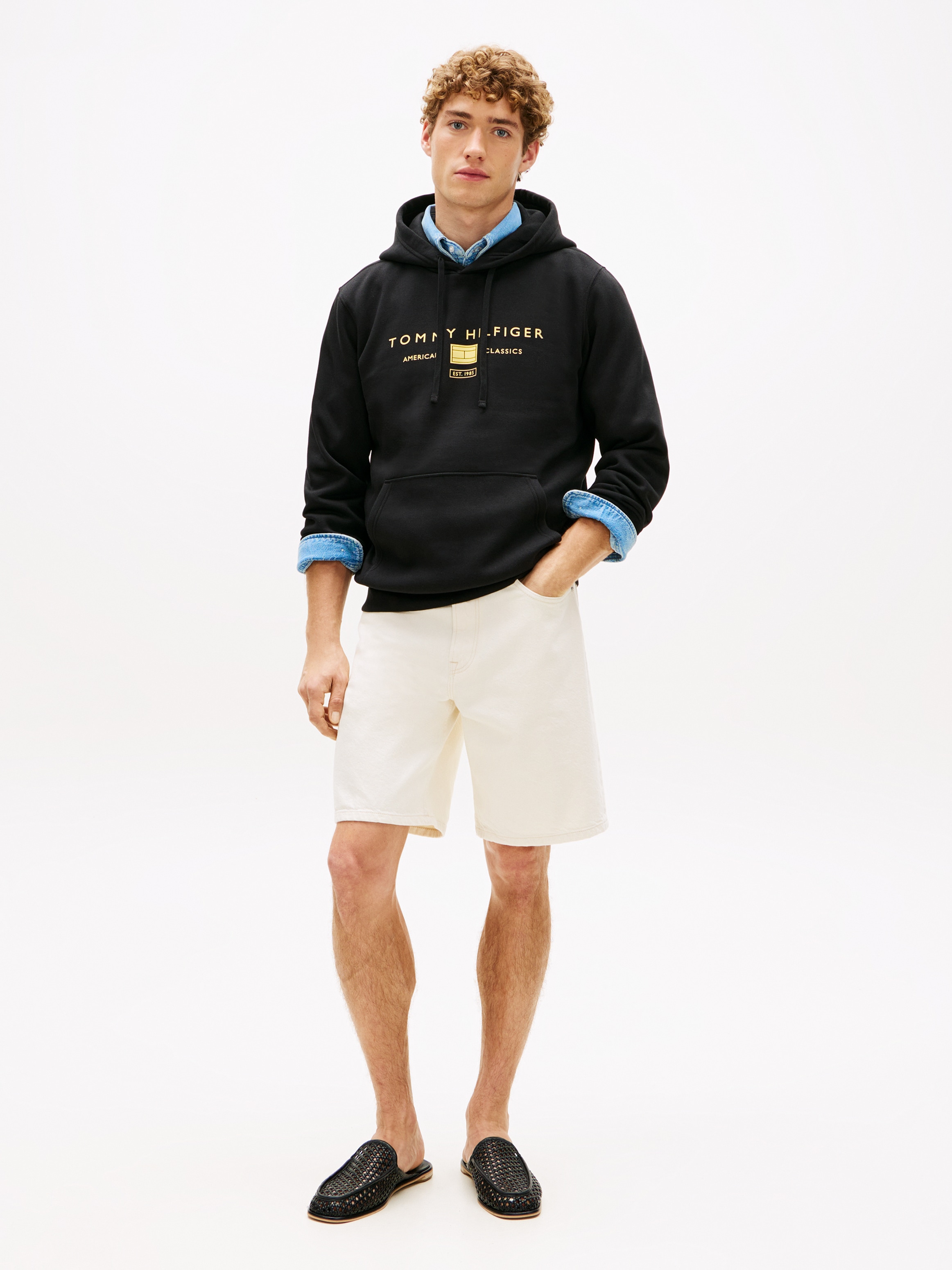 Tommy Hilfiger Hoodie »BRAND LOVE TR MONO STACK«
