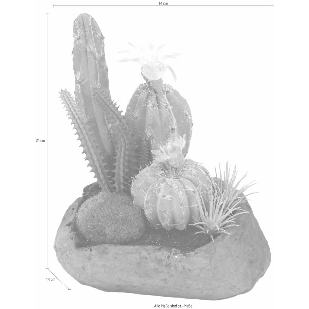 I.GE.A. Kunstpflanze »Kakteen auf Stein 21/15 cm«