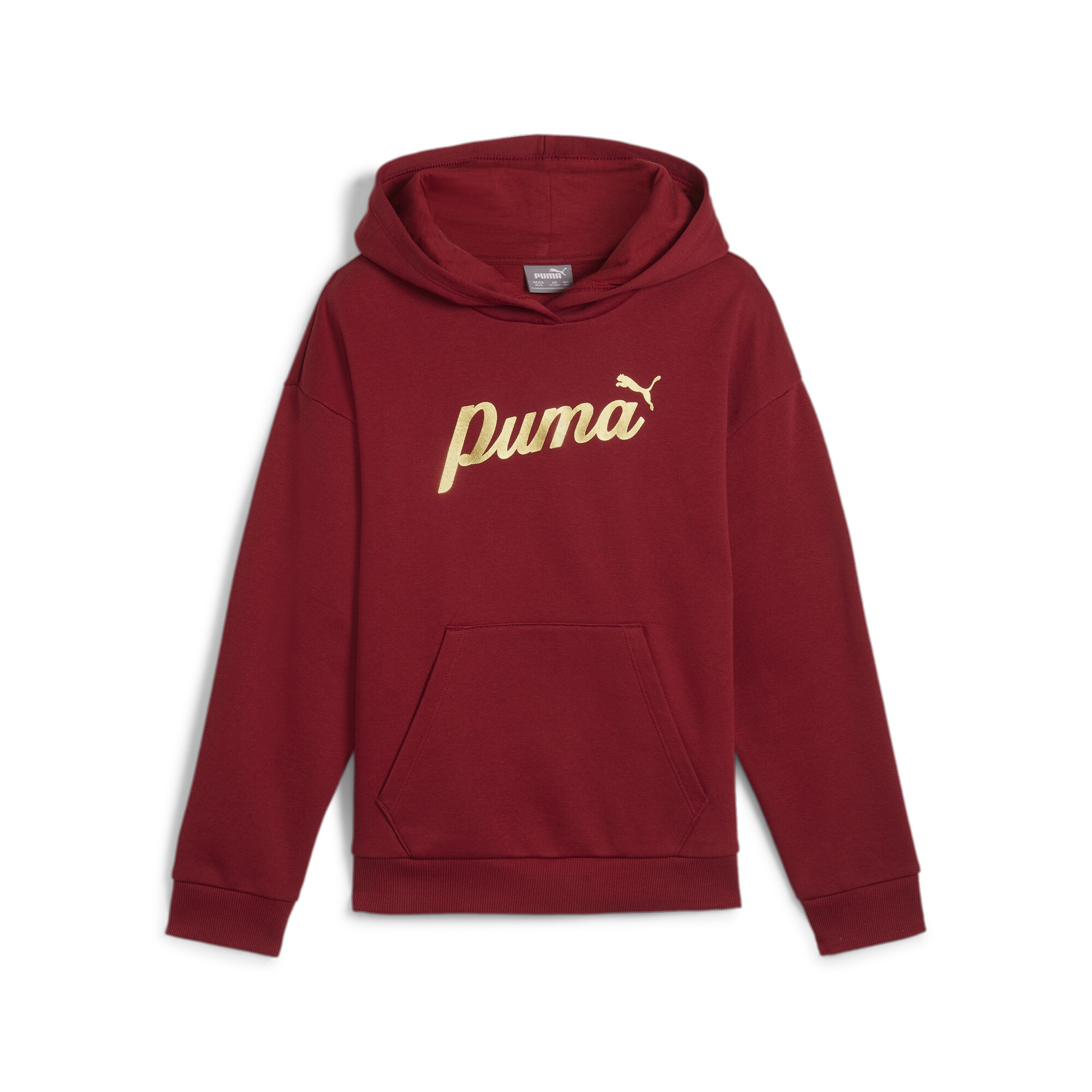 PUMA Kapuzensweatshirt »ESS+ SCRIPT METALLIC HOODIE FL G«