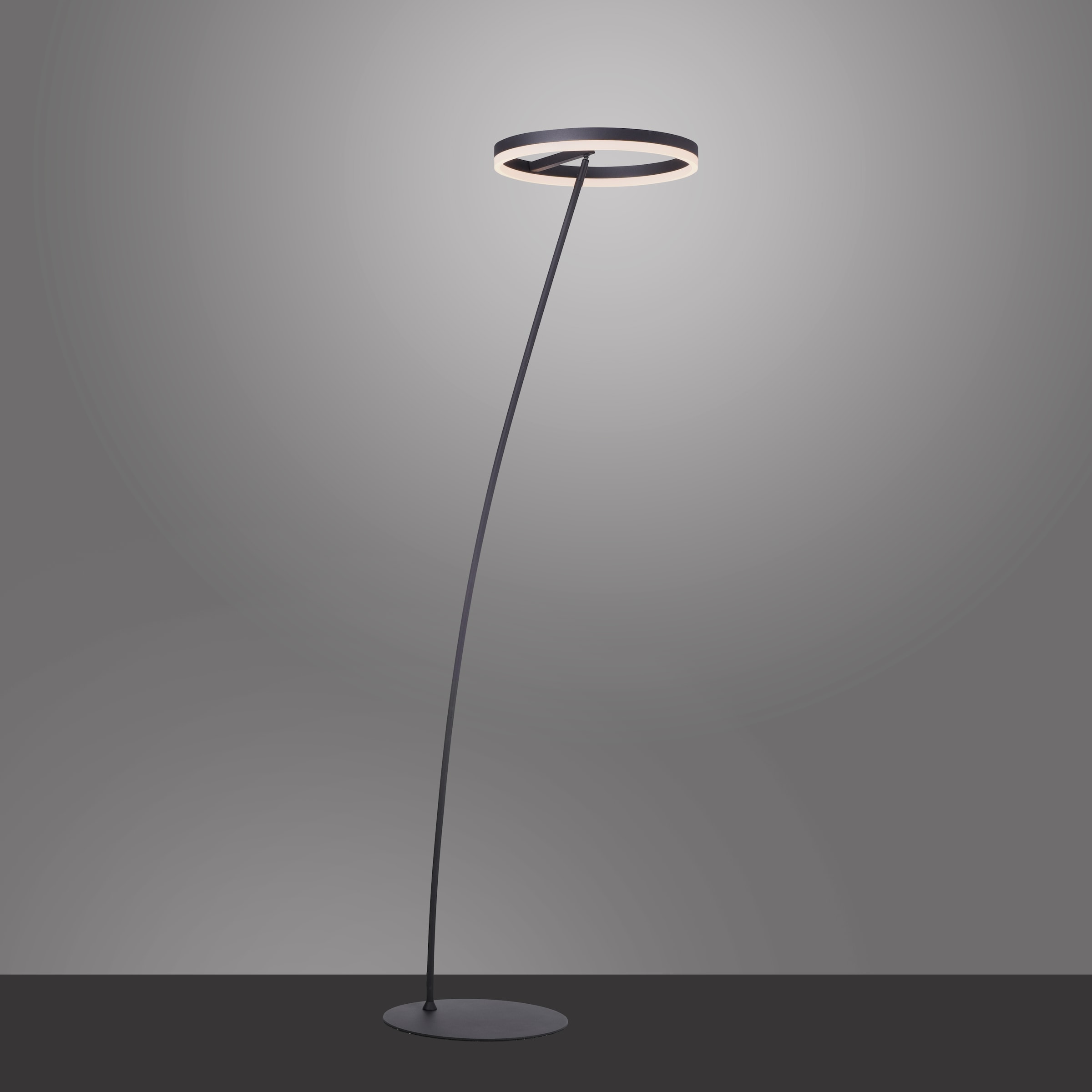 Paul Neuhaus LED Stehlampe »TITUS«, 1 flammig-flammig, dimmbar über  Schnurdimmer kaufen bei OTTO