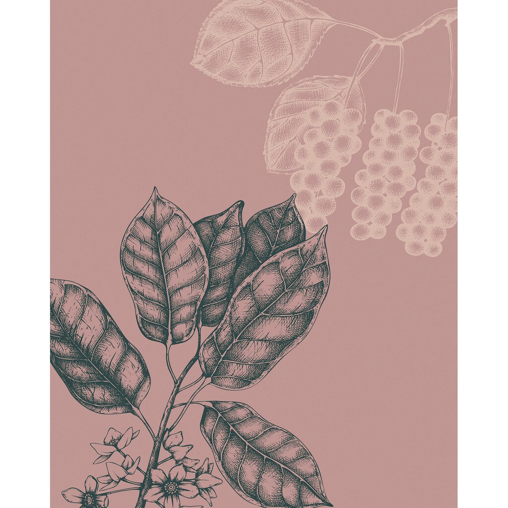 Komar Wandbild »Wild Berry«, (1 St.), Deutsches Premium-Poster Fotopapier mit seidenmatter Oberfläche und hoher Lichtbeständigkeit. Für fotorealistische Drucke mit gestochen scharfen Details und hervorragender Farbbrillanz.
