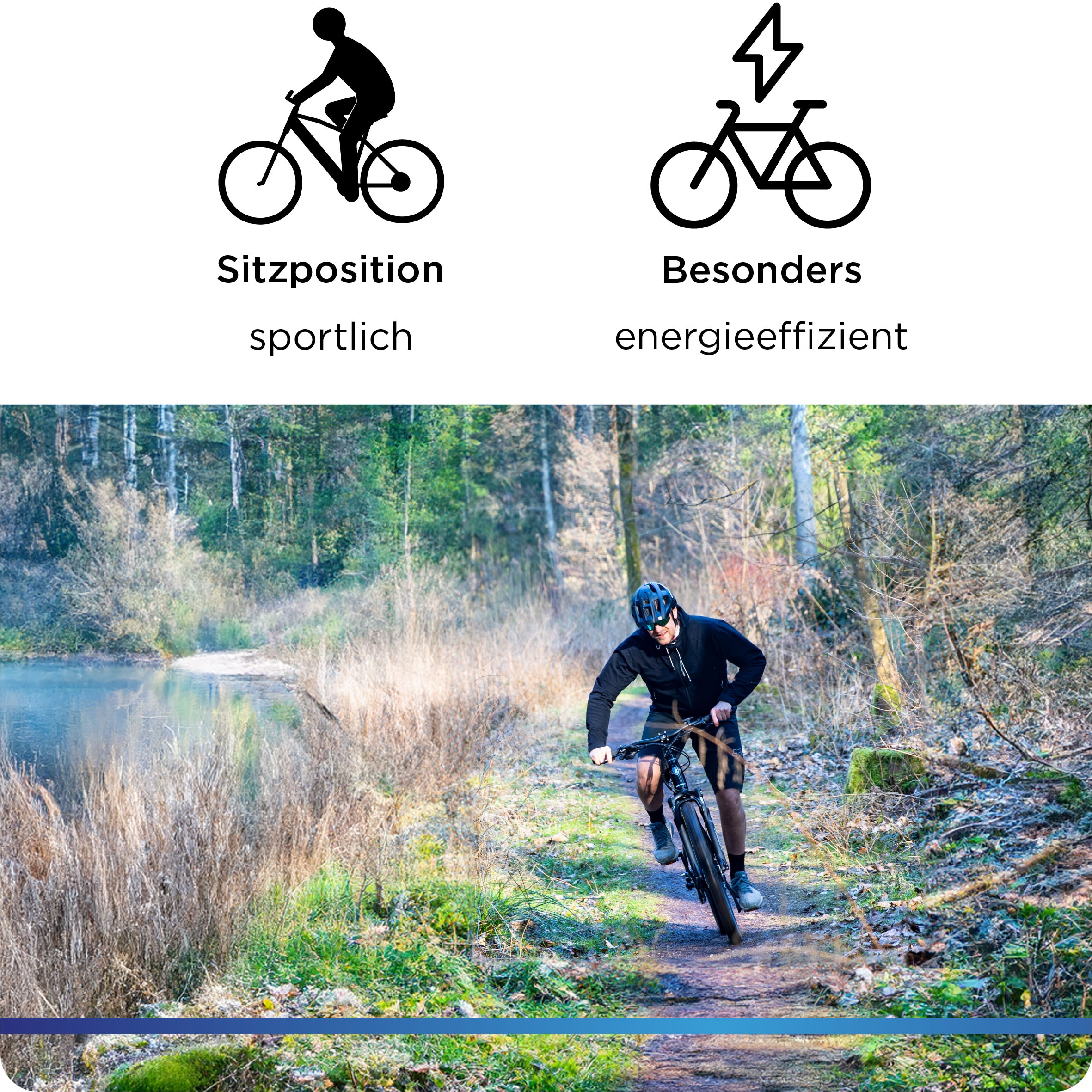Zündapp E-Bike »Z898«, 10 Gang, Heckmotor 250 W, E-Bike E Mountainbike 27,5 Zoll Pedelec 170 - 190 cm Hardtail MTB