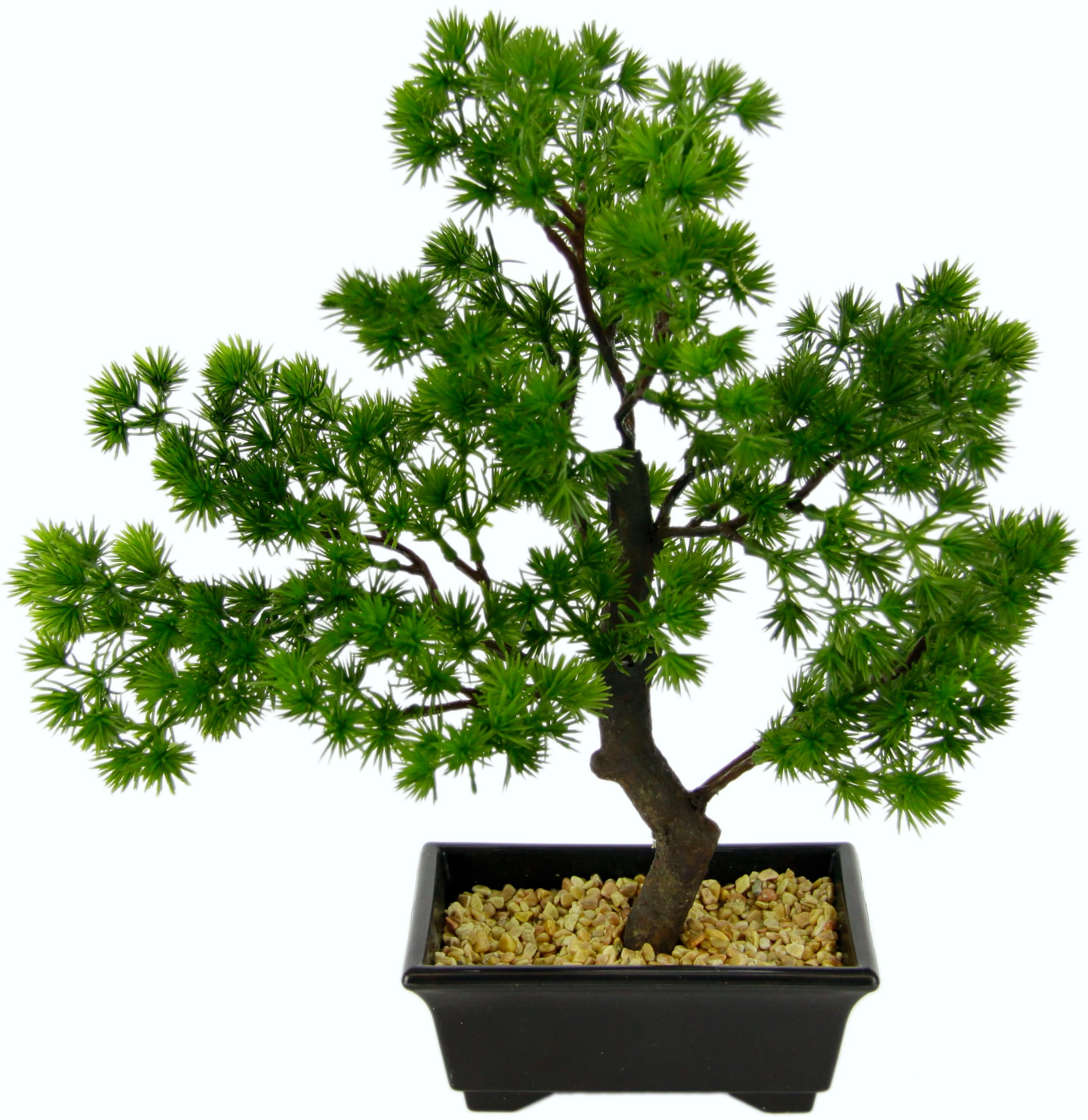 I.GE.A. Kunstbonsai »Bonsai«, in Bonsaischale aus OTTO Kunststoff im Online Shop