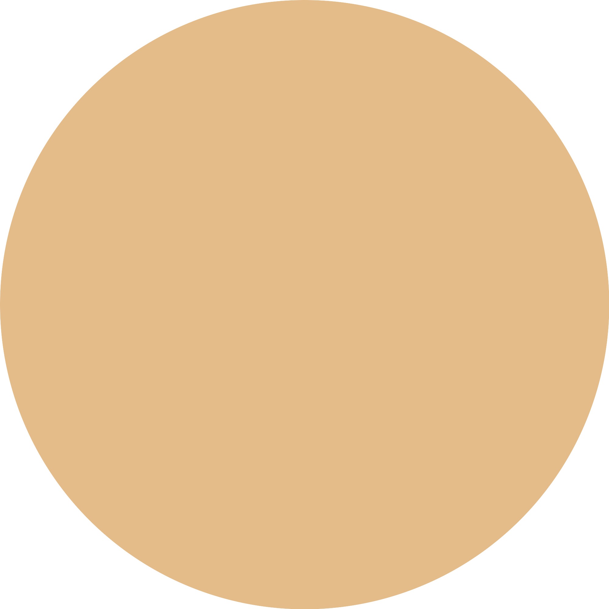 Catrice Primer »Soft Glam Filter Fluid«, (Set), mit Soft-Glam-Filter-Effekt