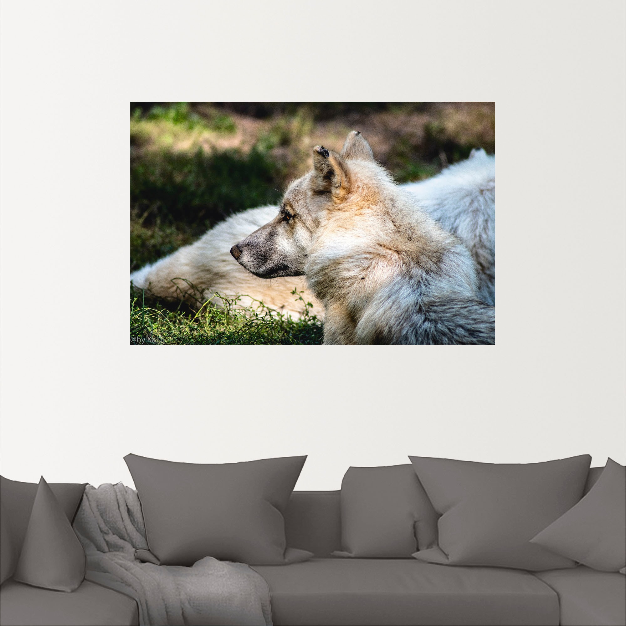 Artland Wandbild »Blick in die Ferne«, Wolfbilder, (1 St.), als Alubild, Leinwandbild, Wandaufkleber oder Poster in versch. Größen