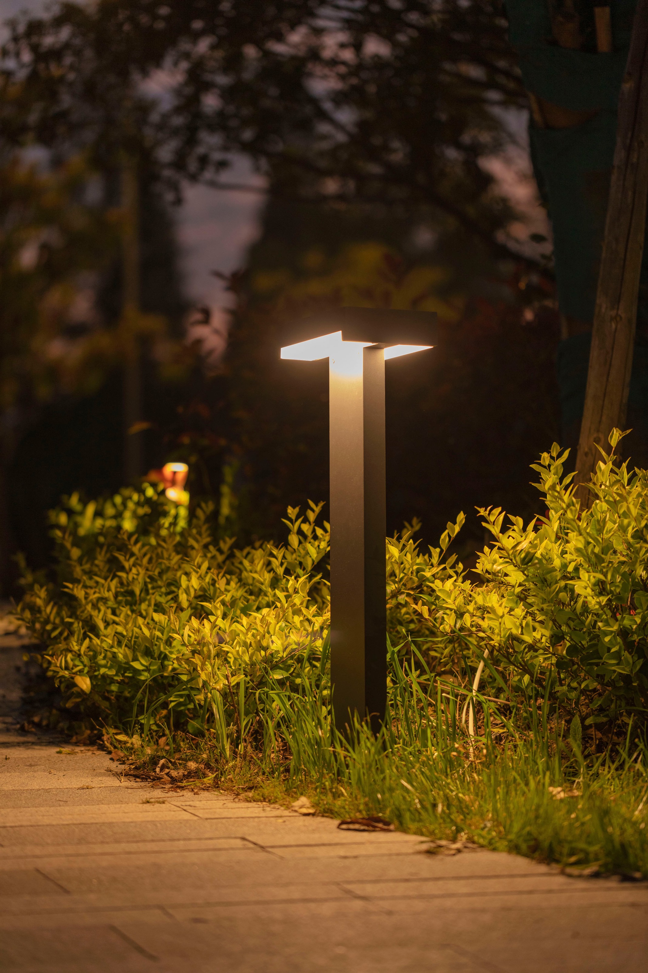 LUTEC LED Außen-Wandleuchte »CONROY«, Leuchtmittel LED-Modul | LED fest integriert, verstellbar
