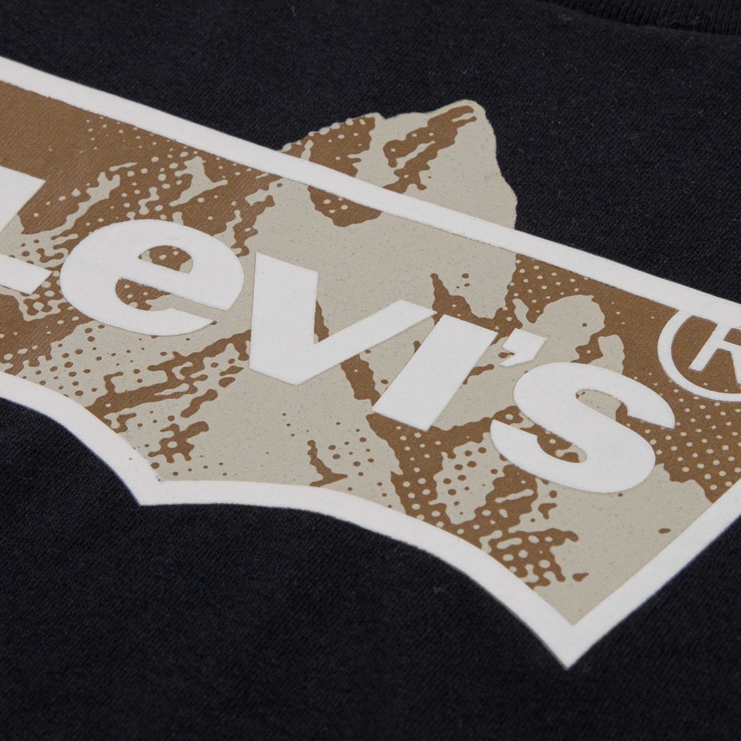 Levi's® Kids T-Shirt »LVB TALLEST PEAK BATWING TEE« mit Batwing-Print - for Boys