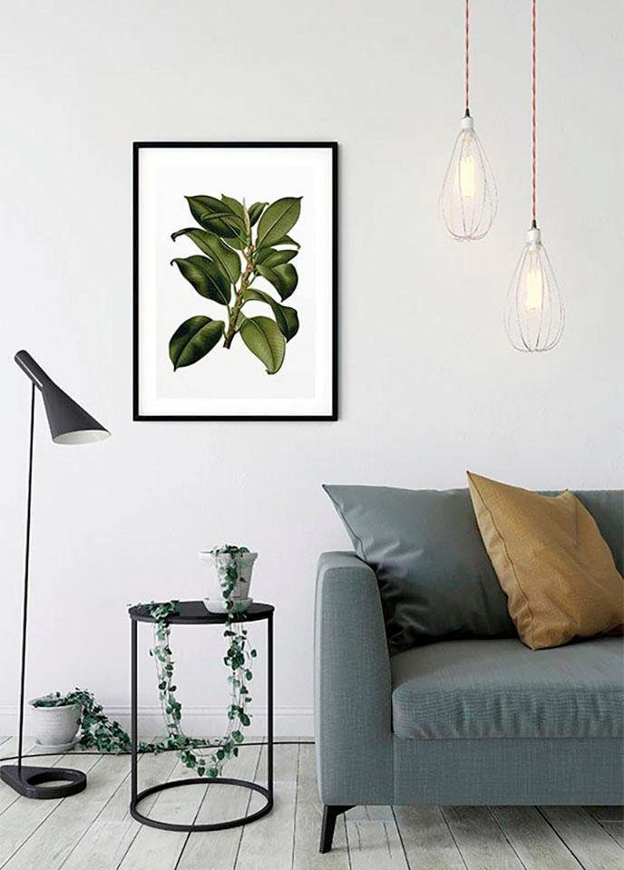 Komar Bild »Elastica Tree« Blätter | Pflanzen 1 Stk. tlg. Wandbild zur Dekoration - ohne Rahmen