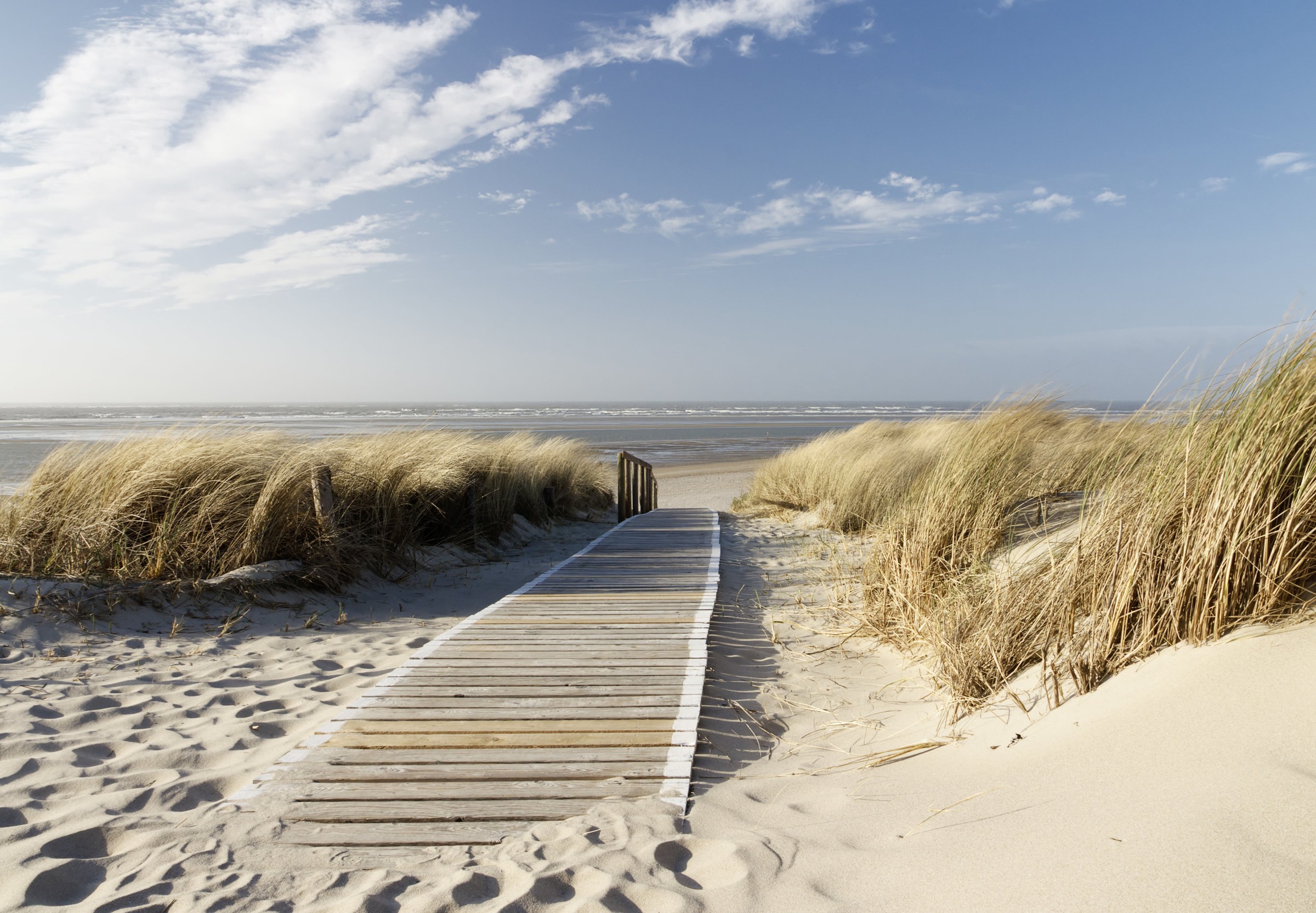 Spiegelprofi GmbH Bild mit Rahmen »Holiday«, (1 St.)