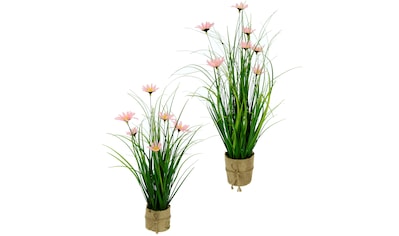 Creativ green Kunstgras »Blüten-Gras-Mix«, (1 St.), in weißer  Kunststoffschale bei OTTO