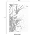 Komar Poster »Reed Leaves«, Pflanzen-Blätter, Höhe: 40cm