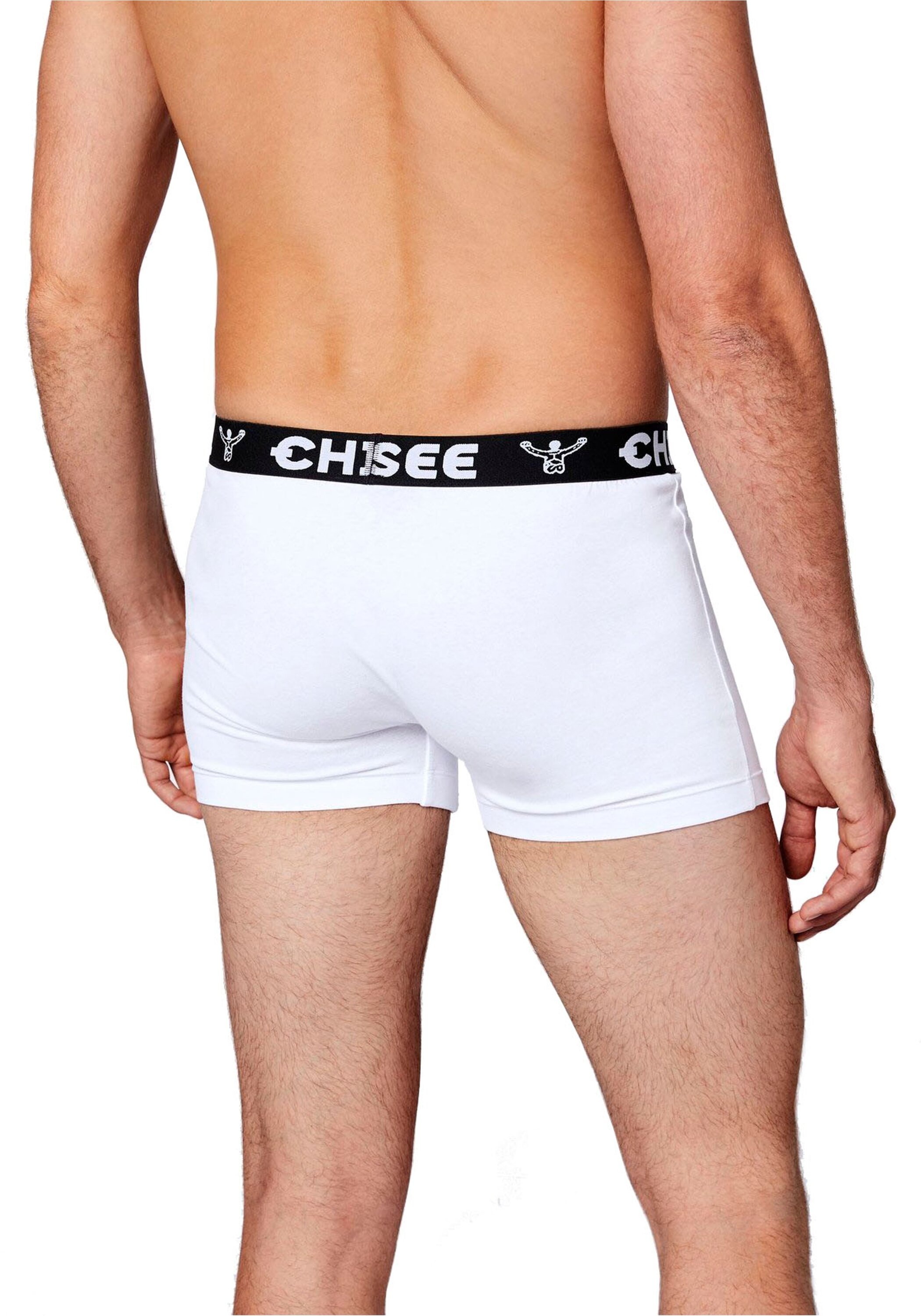 Chiemsee Boxershorts »Boxershort 4er Pack«