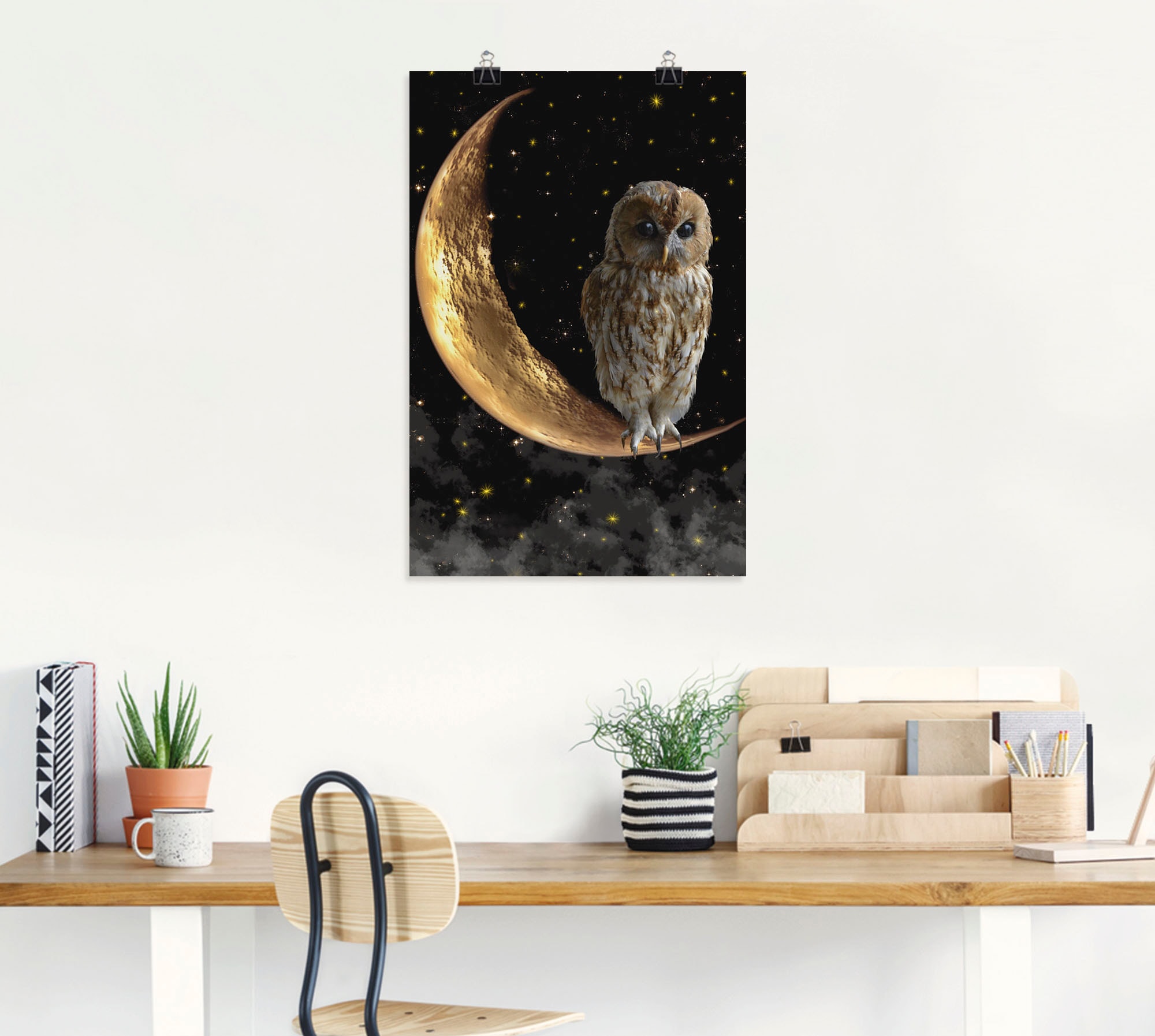 Artland Wandbild »Nachteule« Vögel 1 Stk. tlg. als Alubild, Leinwandbild, Poster in verschied. Größen